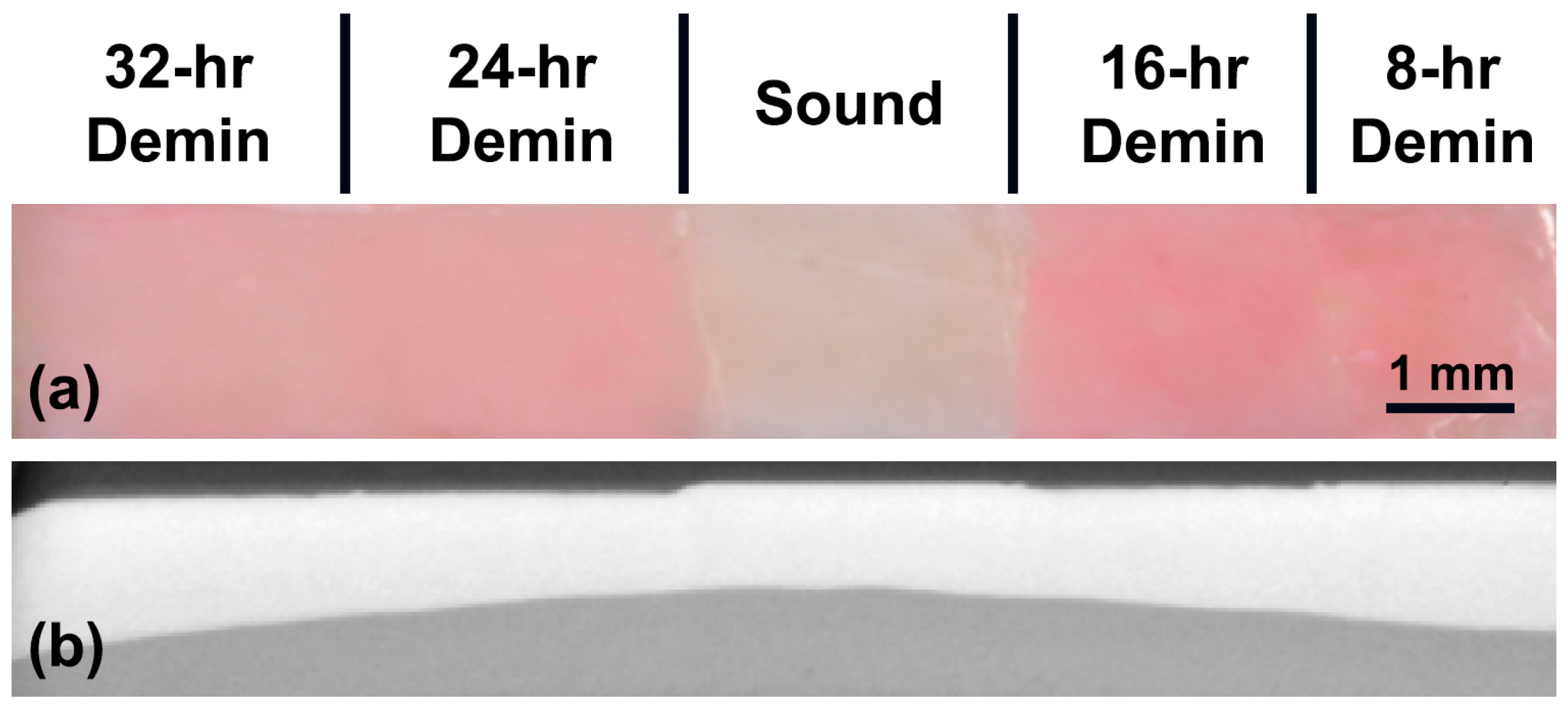 Sensors 19 01419 g003