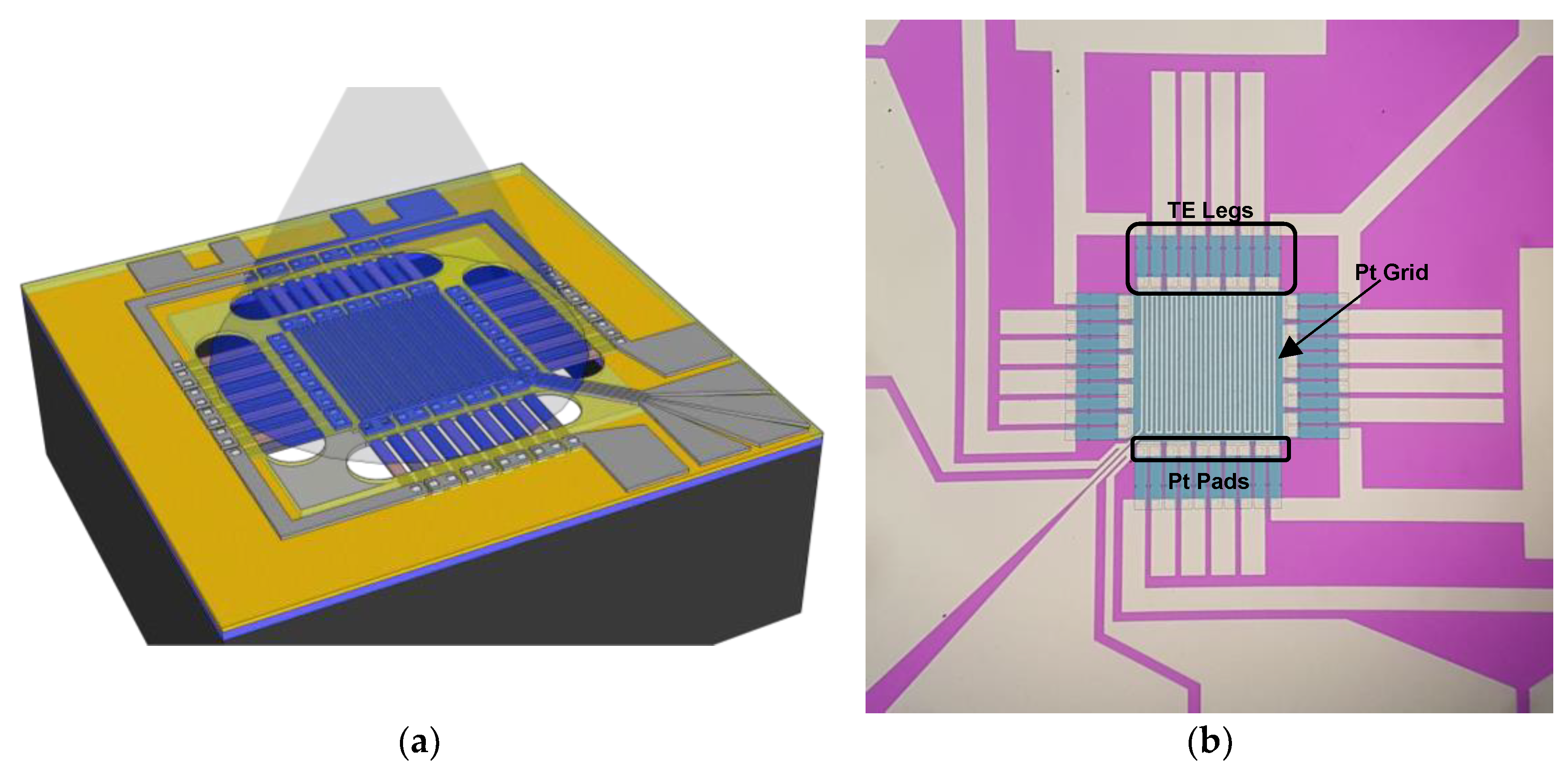 Sensors 19 01427 g001 Sensors 19 01427 g001
