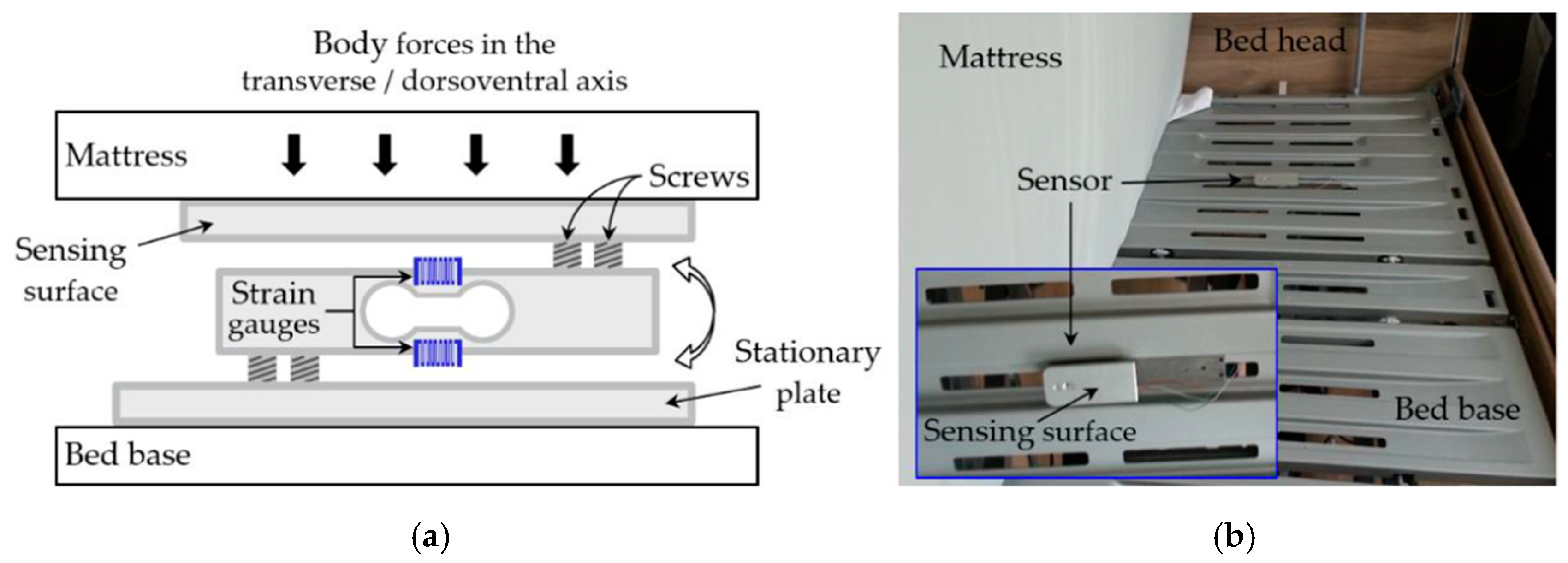 Sensors 19 01451 g002 Sensors 19 01451 g002