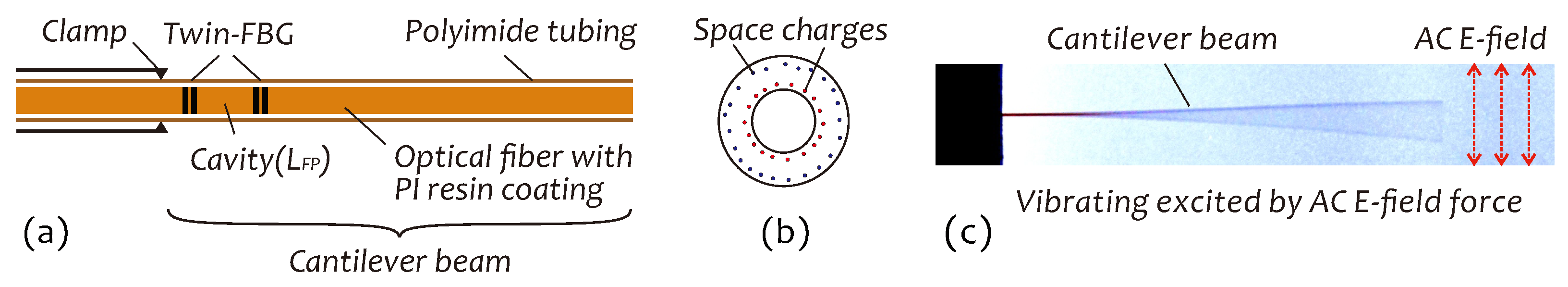 Sensors 19 01456 g001