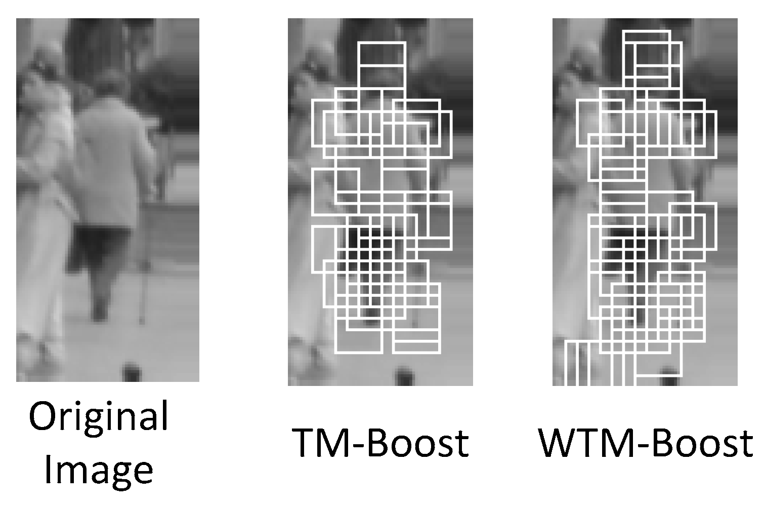 Sensors 19 01458 g006