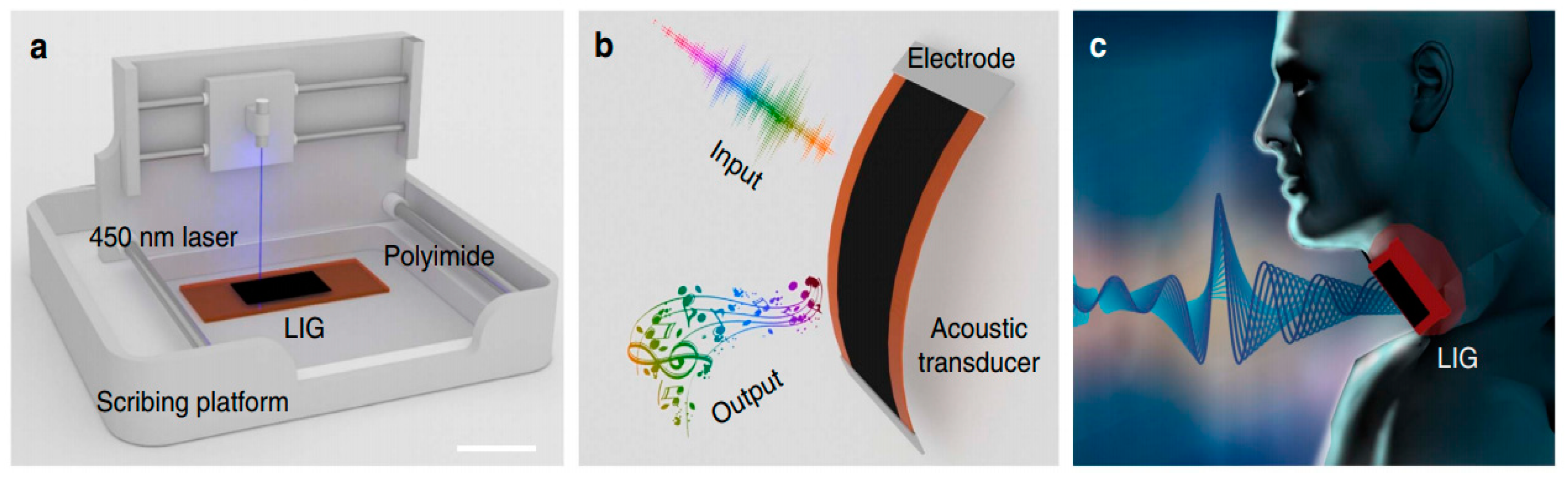 Sensors 19 01462 g012