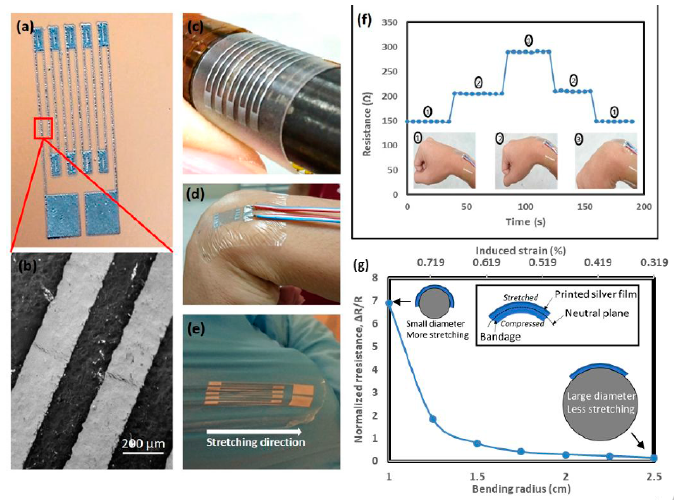 Sensors 19 01462 g013