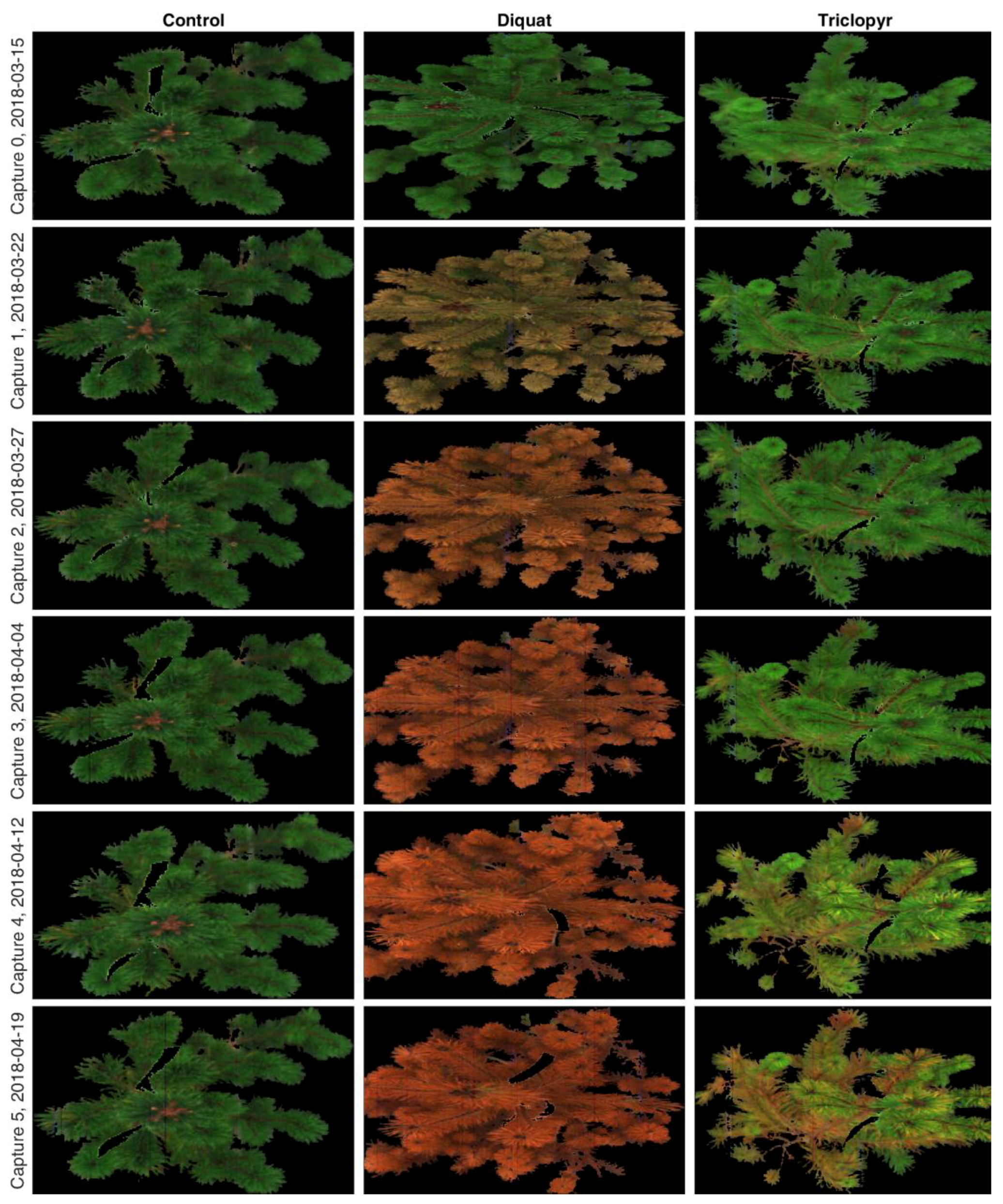 Sensors 19 01543 g005 Sensors 19 01543 g005