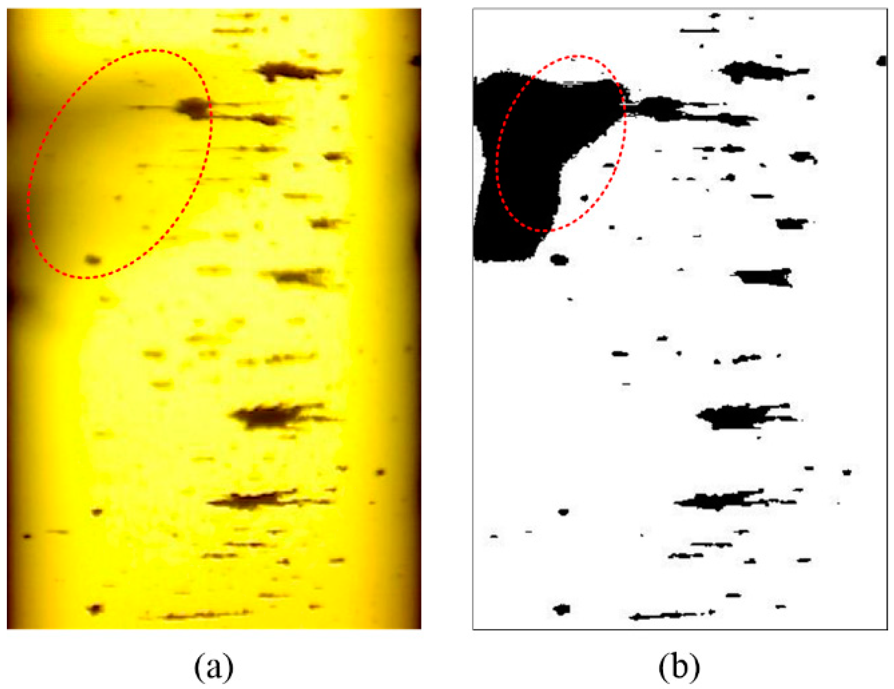 Sensors 19 01546 g001 Sensors 19 01546 g001