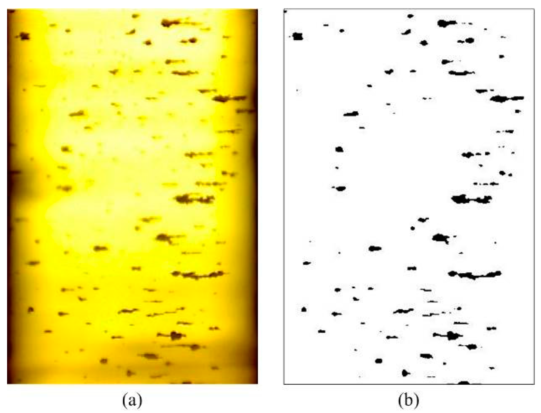 Sensors 19 01546 g005 Sensors 19 01546 g005