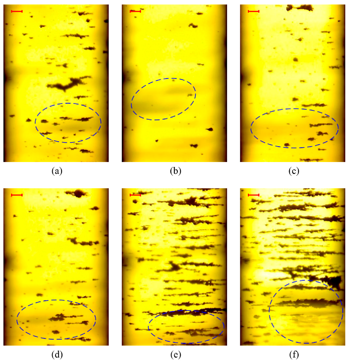 Sensors 19 01546 g010 Sensors 19 01546 g010