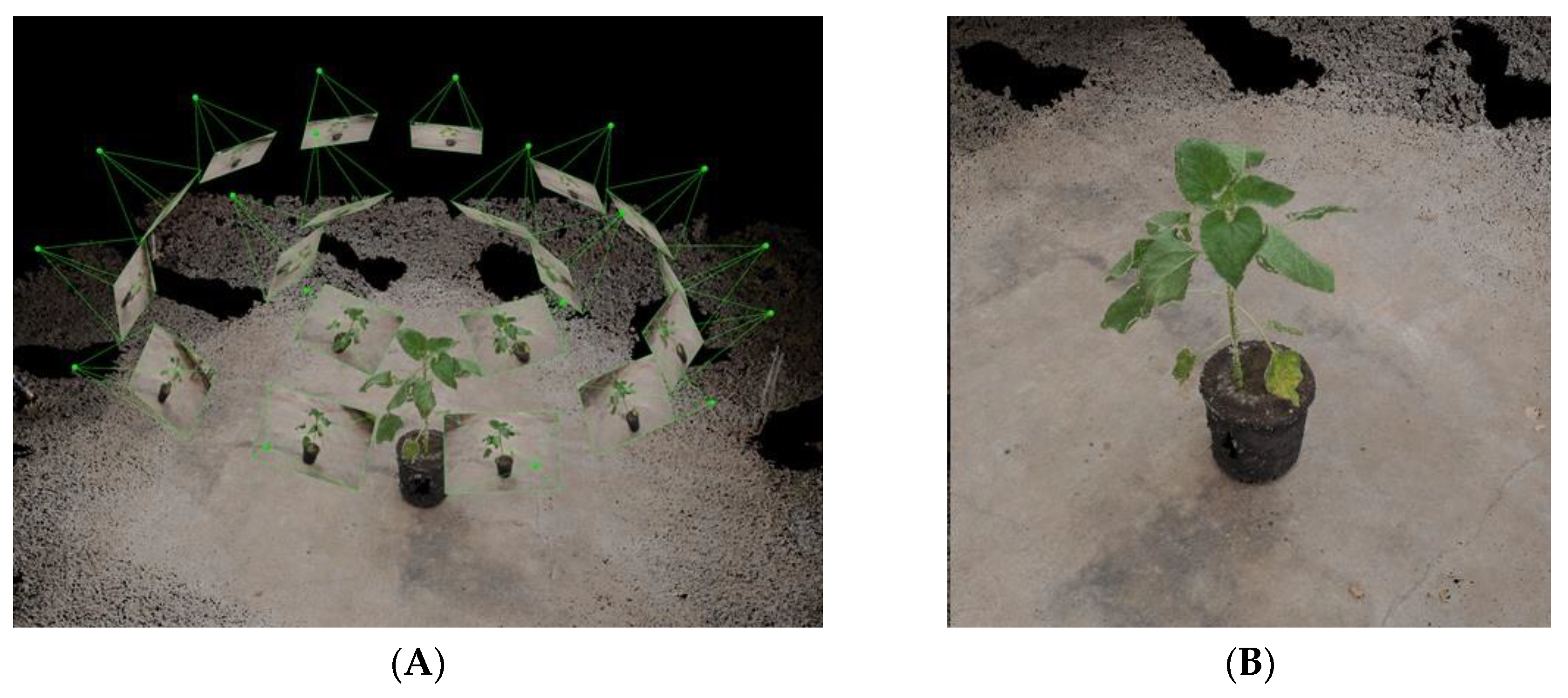 Sensors 19 01569 g002 Sensors 19 01569 g002