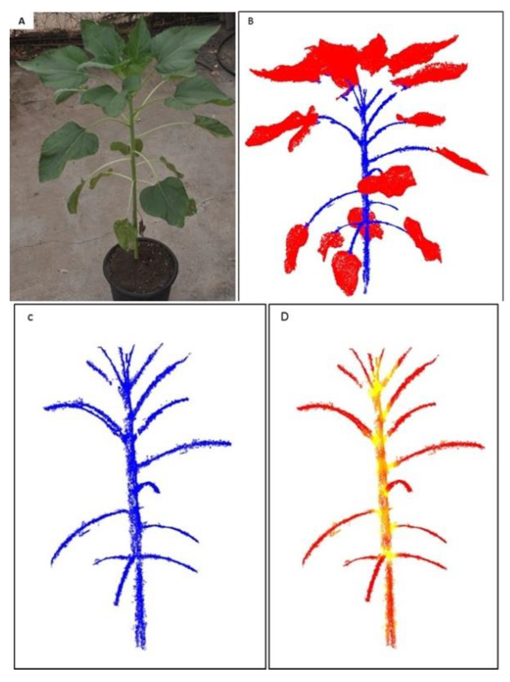 Sensors 19 01569 g005 Sensors 19 01569 g005
