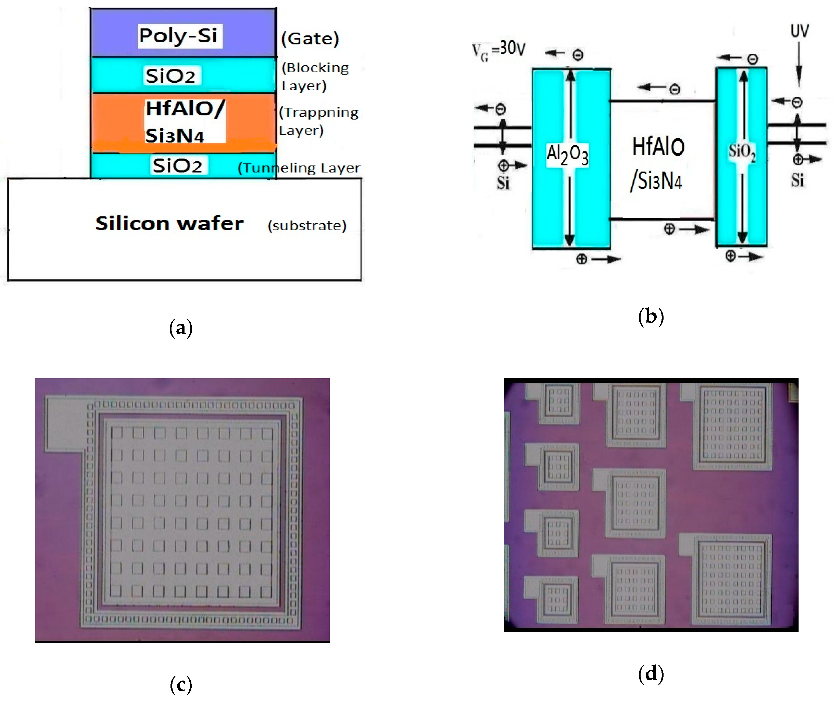 Sensors 19 01570 g001