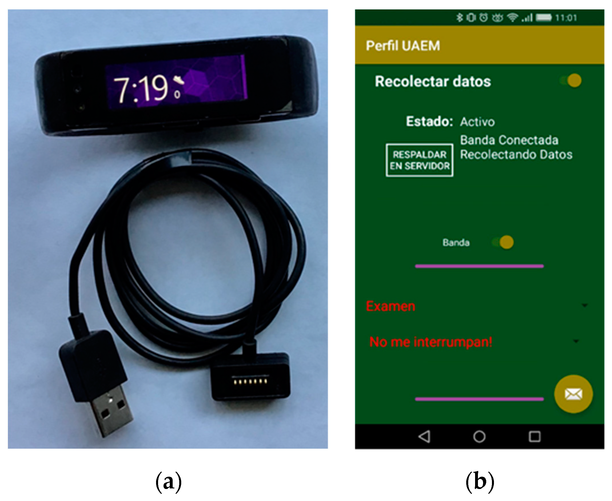 Sensors 19 01605 g003