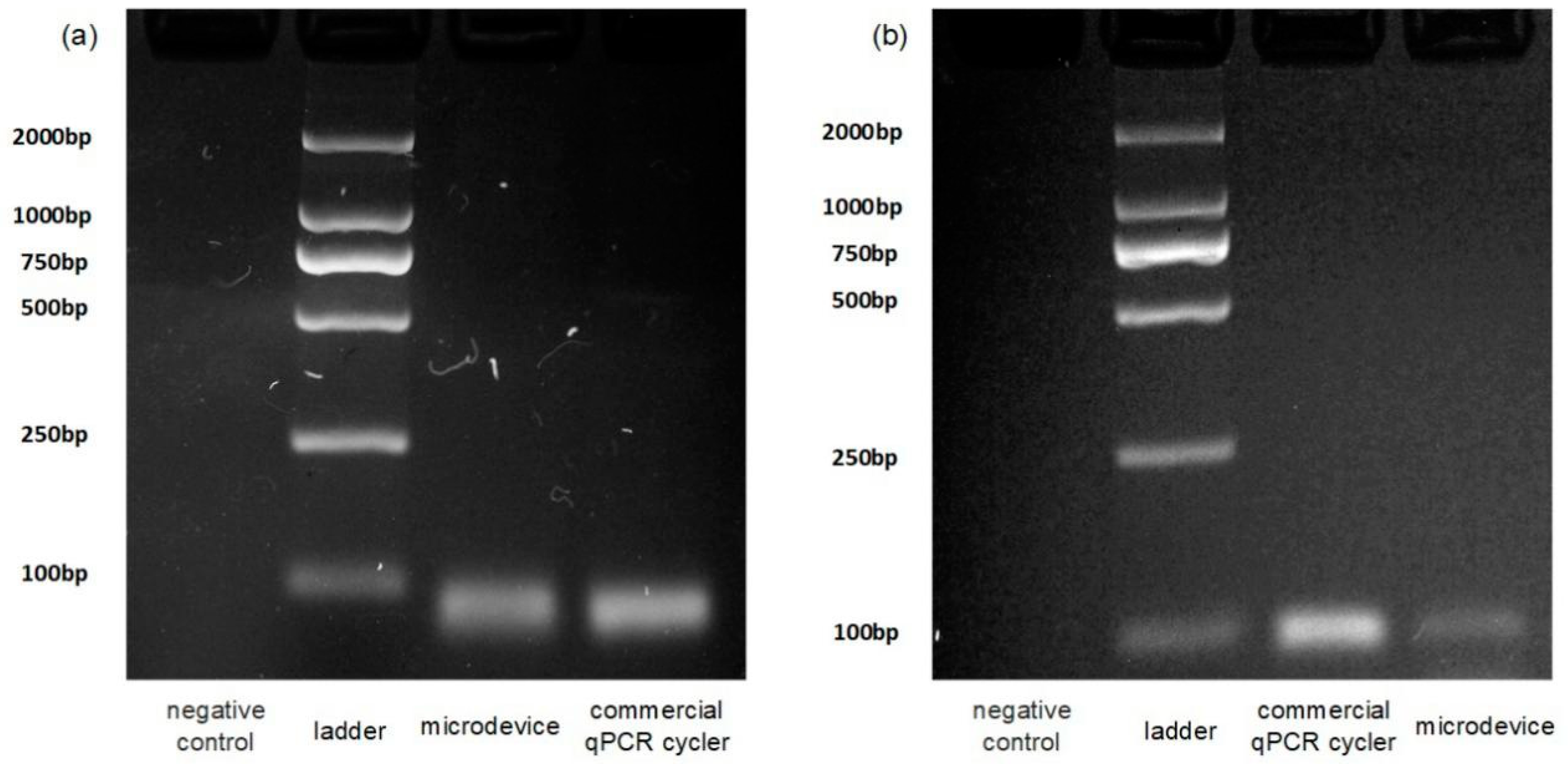 Sensors 19 01609 g006
