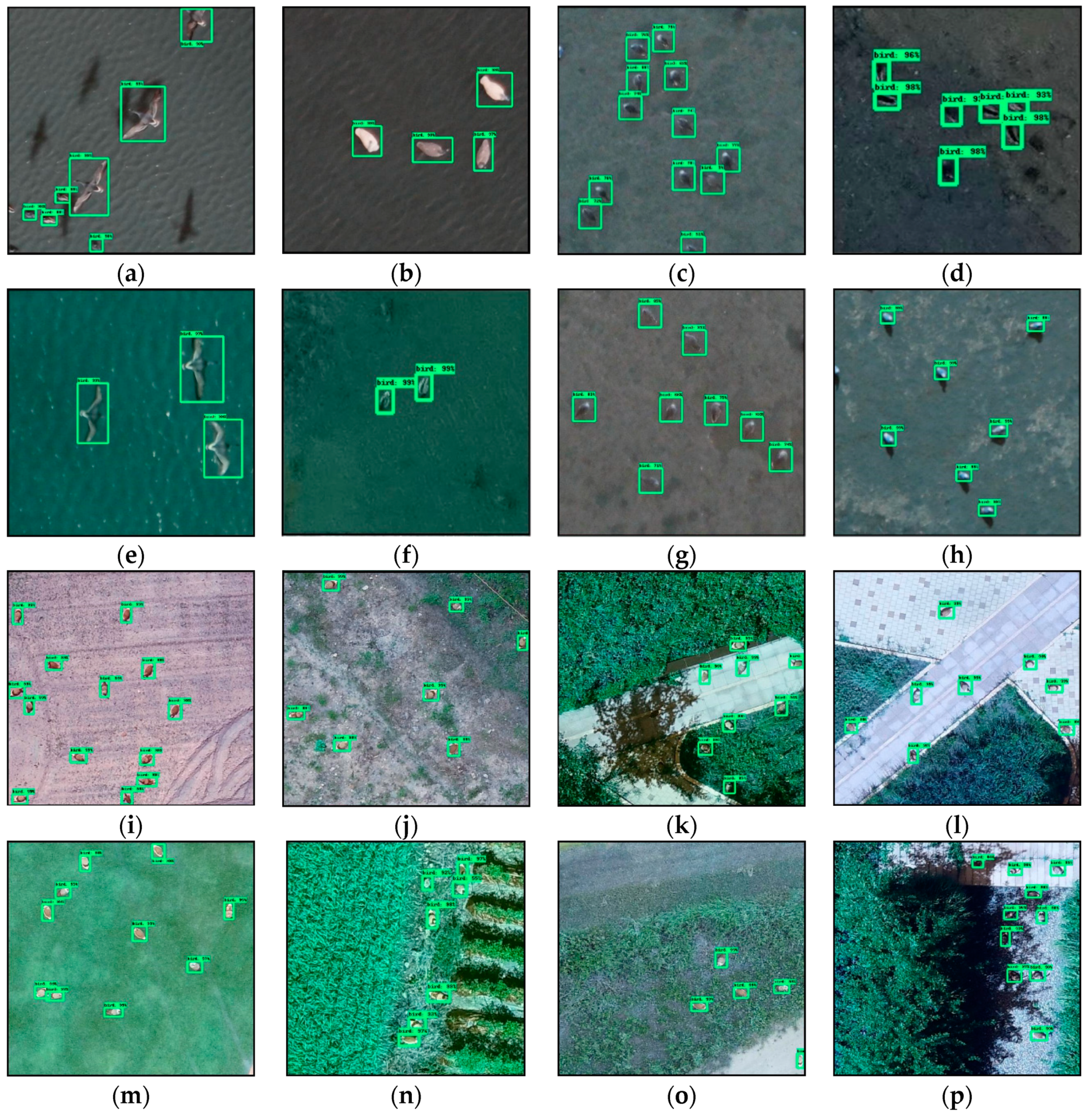 Sensors 19 01651 g009 550