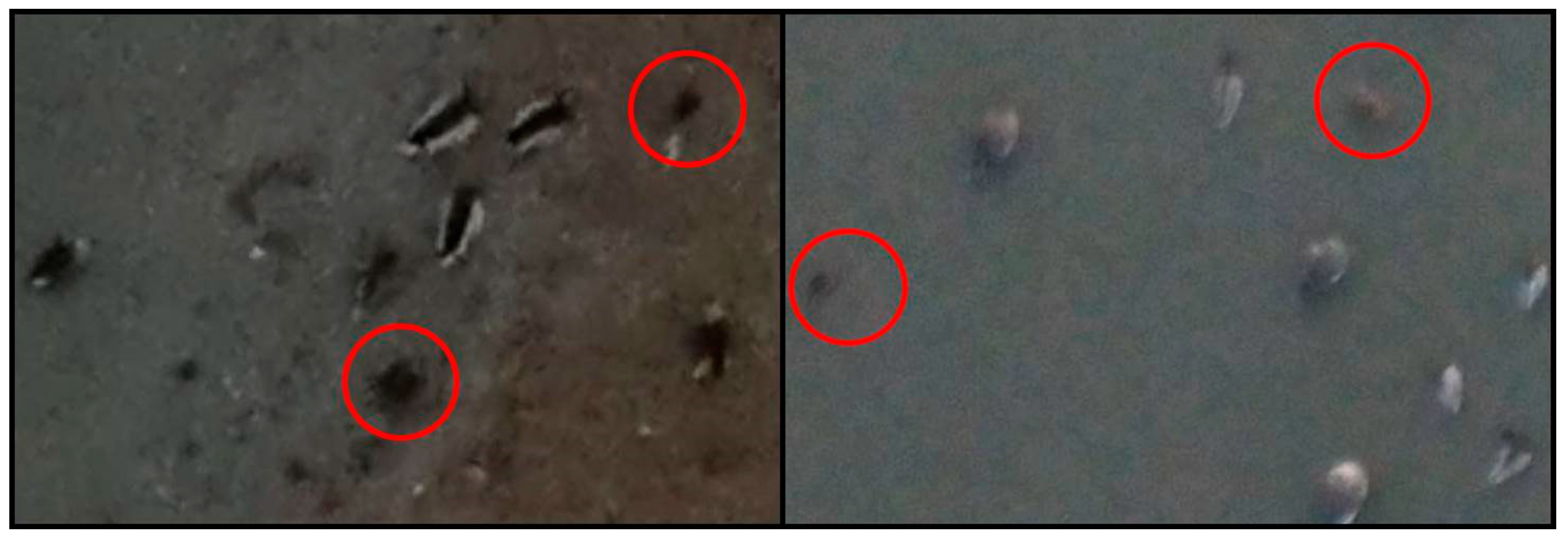 Sensors 19 01651 g012 550