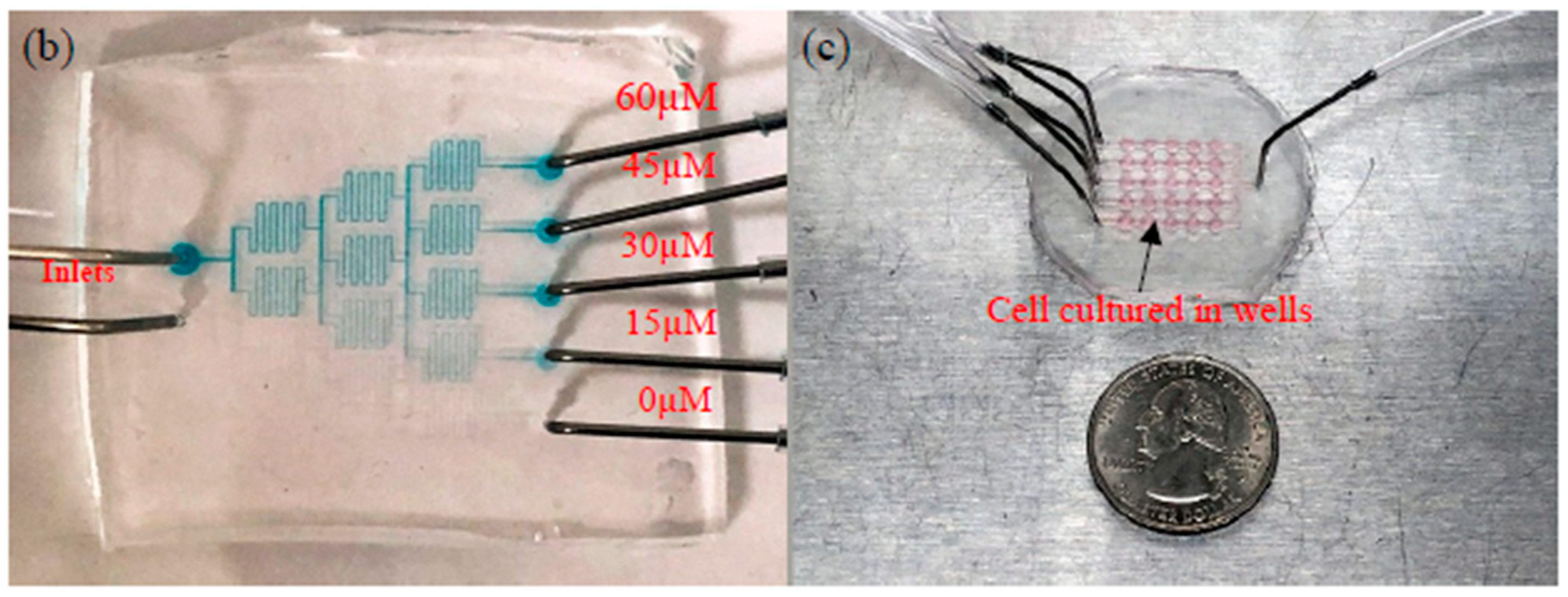 Sensors 19 01663 g003b Sensors 19 01663 g003b