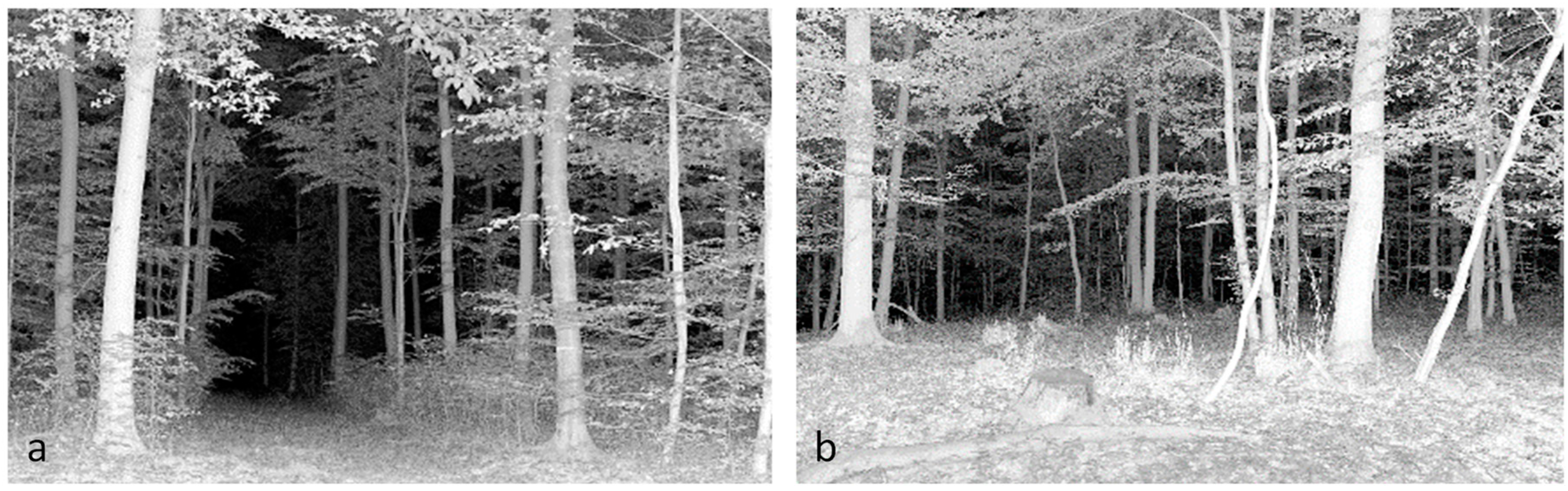 Sensors 19 01684 g003 Sensors 19 01684 g003
