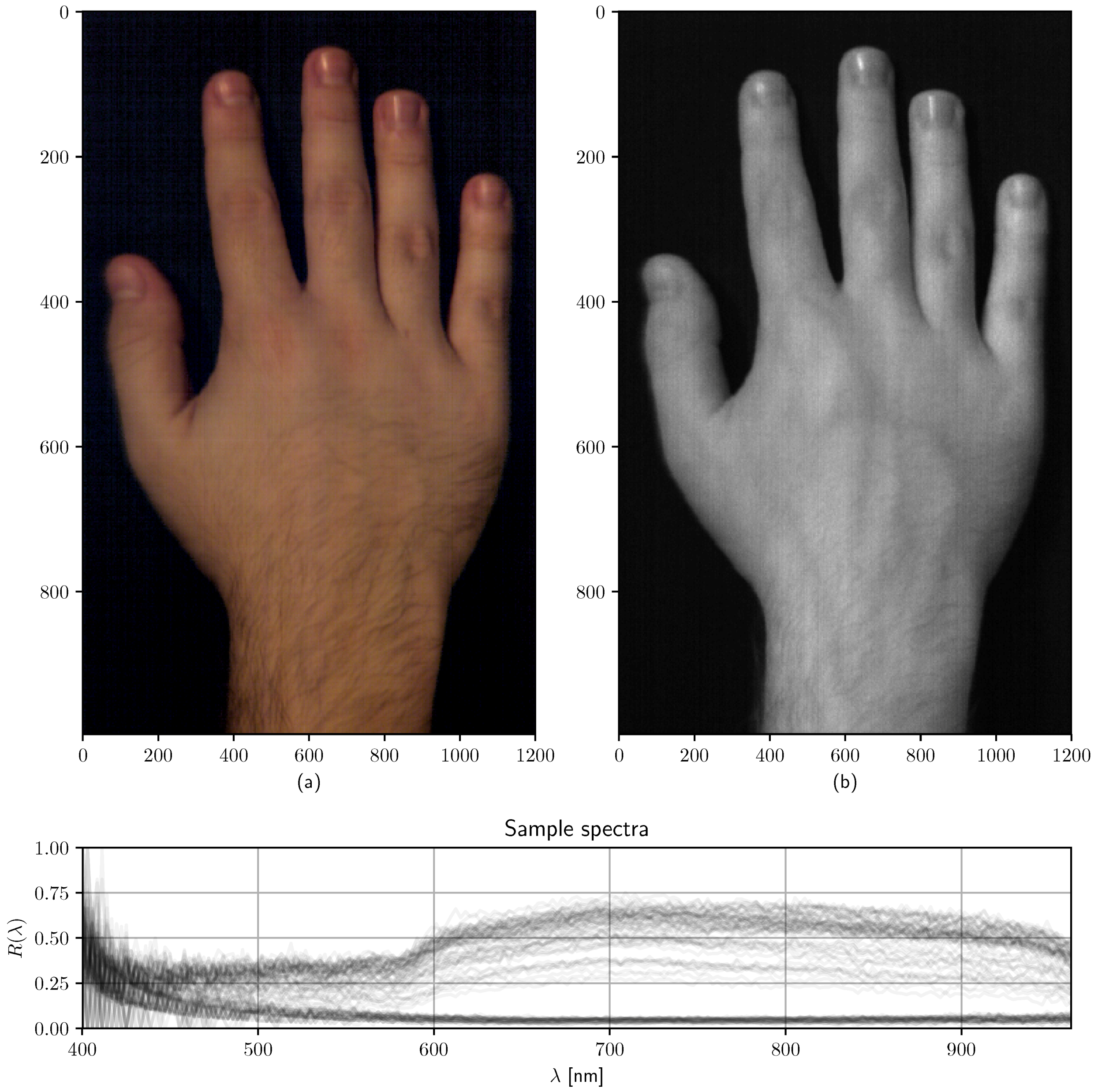 Sensors 19 01692 g014 550