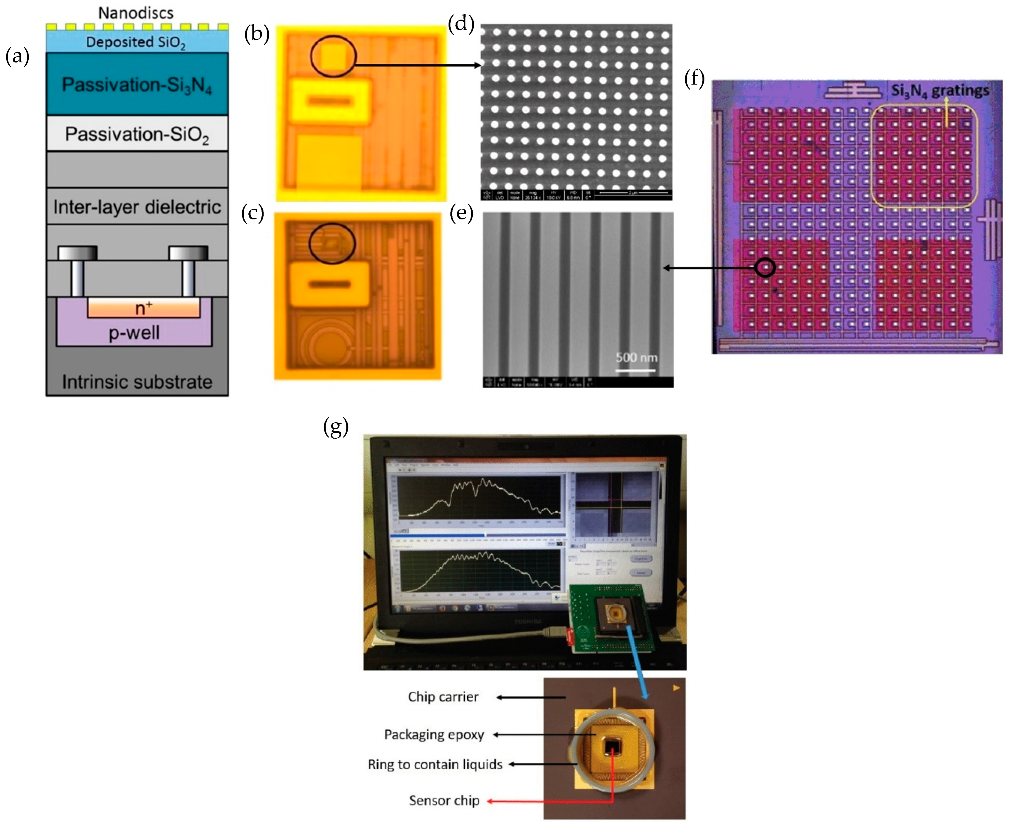 Sensors 19 01715 g010