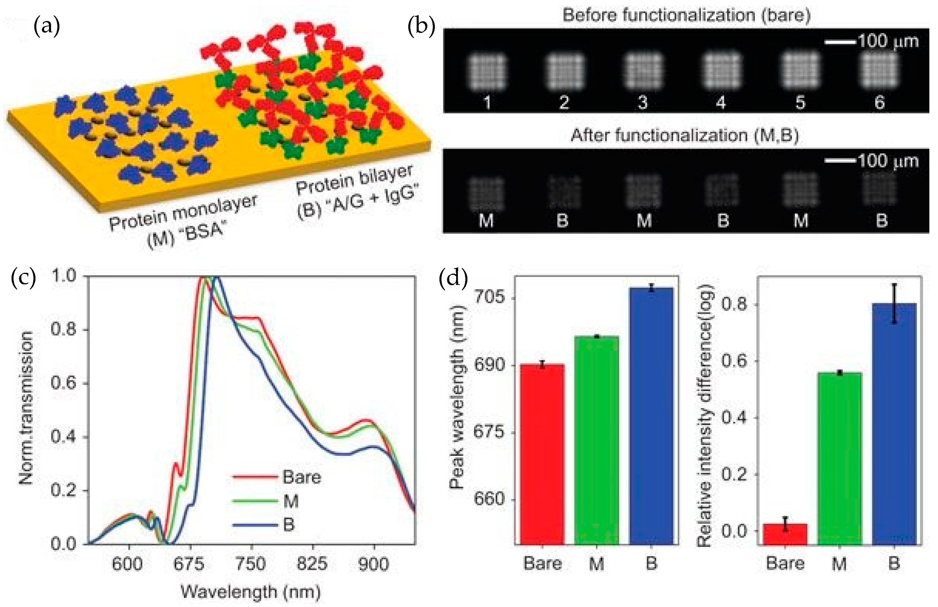 Sensors 19 01715 g013