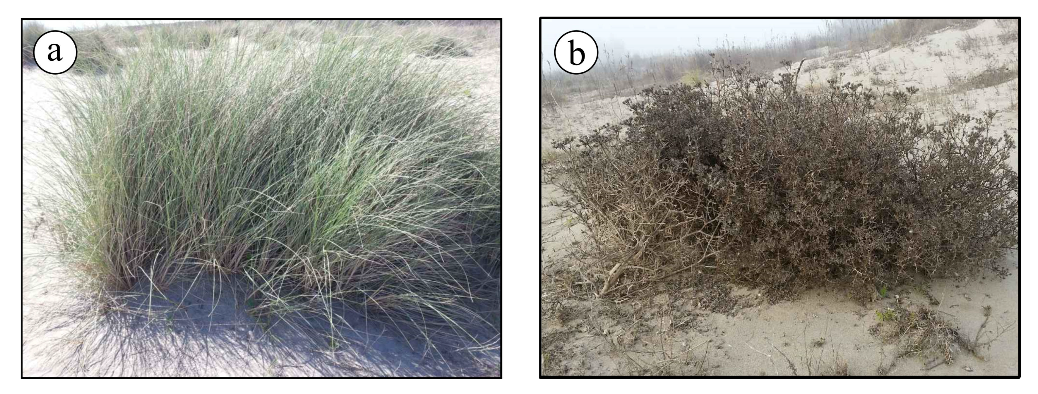 Sensors 19 01717 g008