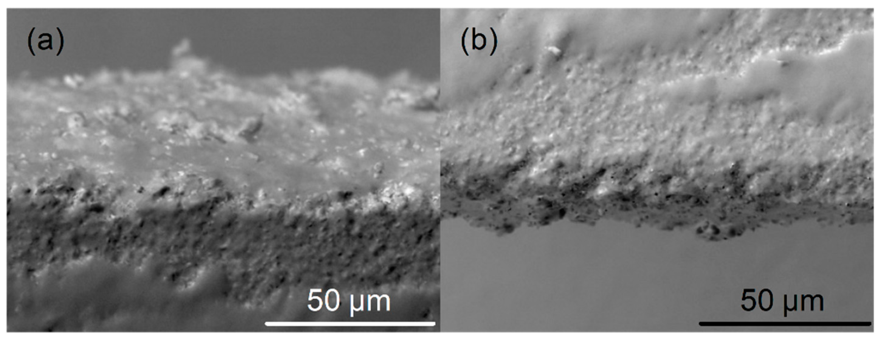 Sensors 19 01719 g008 Sensors 19 01719 g008