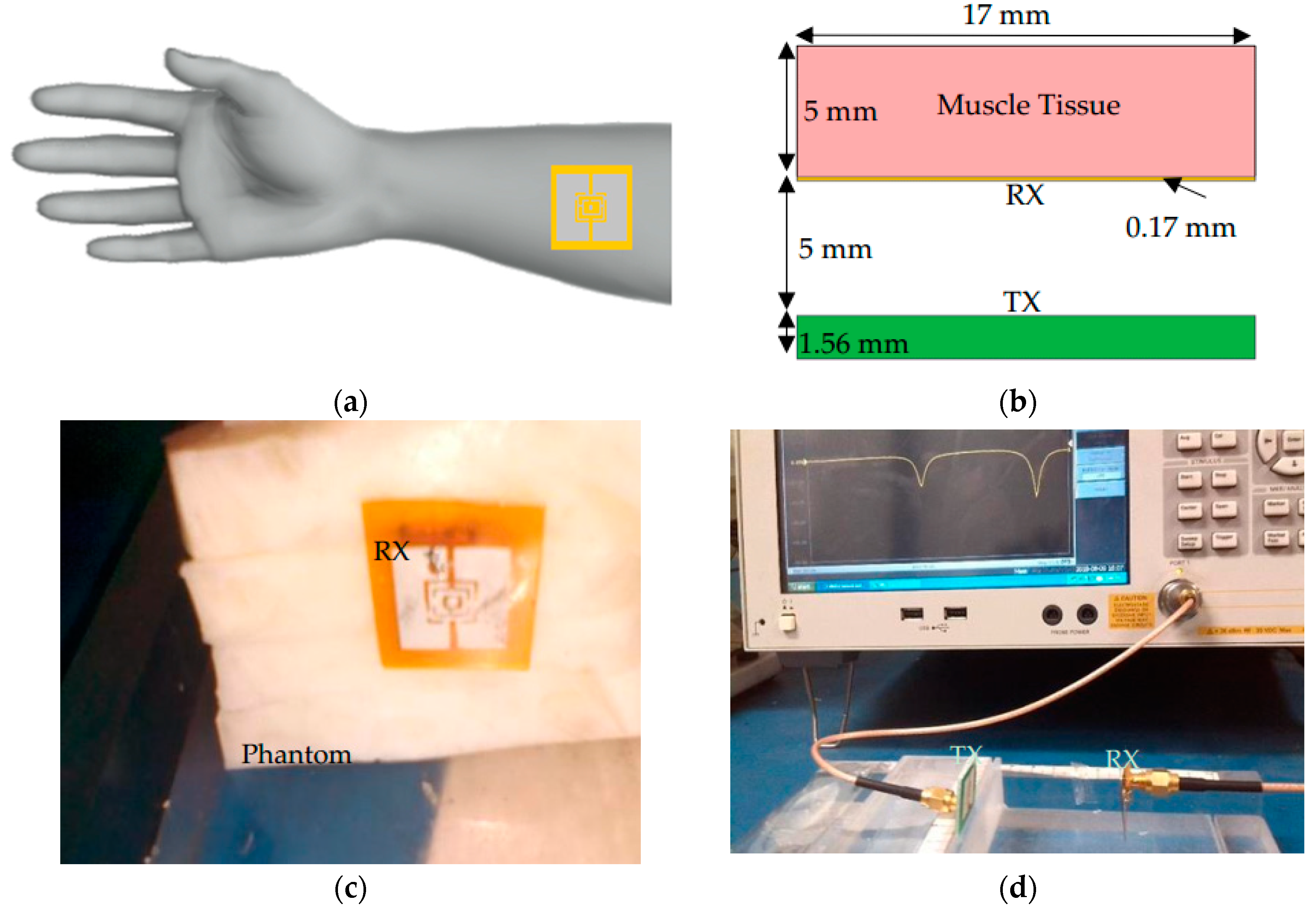 Sensors 19 01732 g003 Sensors 19 01732 g003