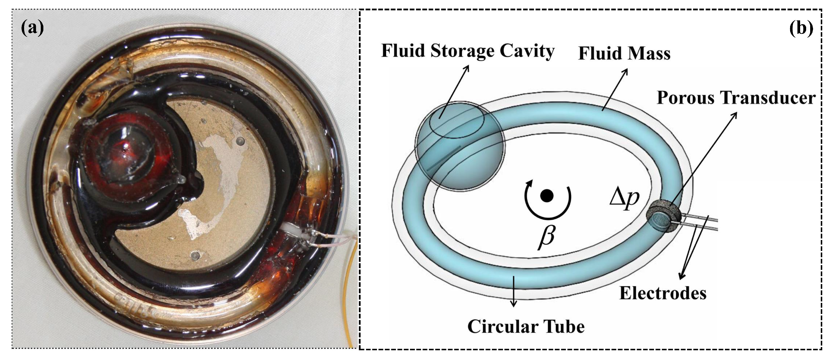 Sensors 19 01780 g001 Sensors 19 01780 g001