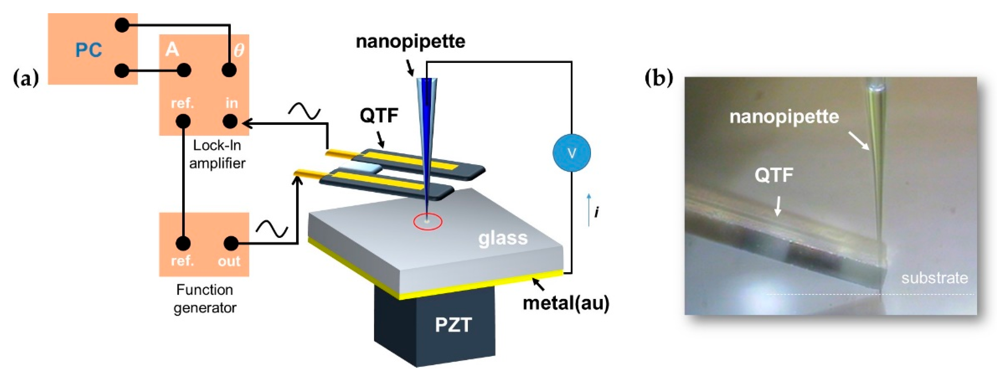 Sensors 19 01794 g003