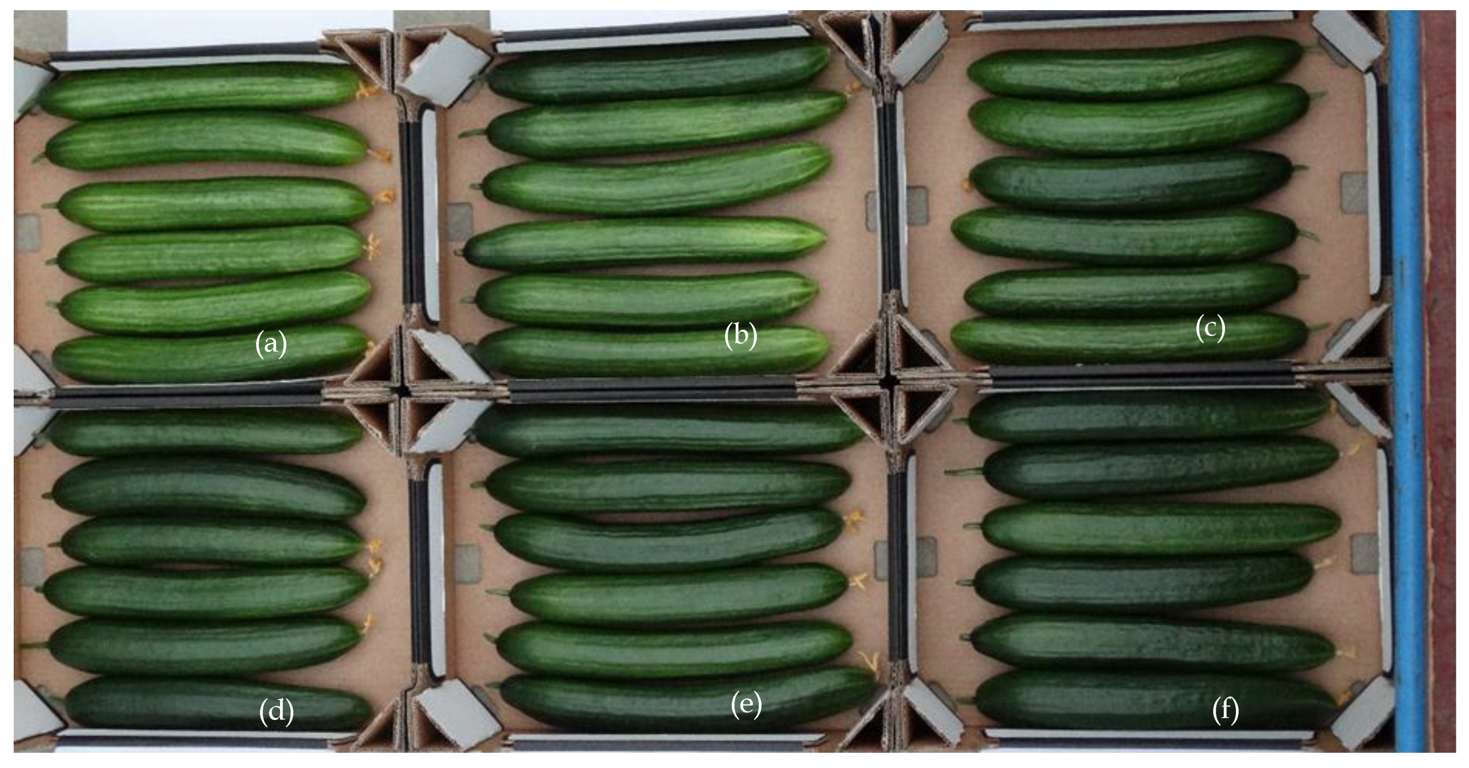 Sensors 19 01807 g0a4 Sensors 19 01807 g0a4