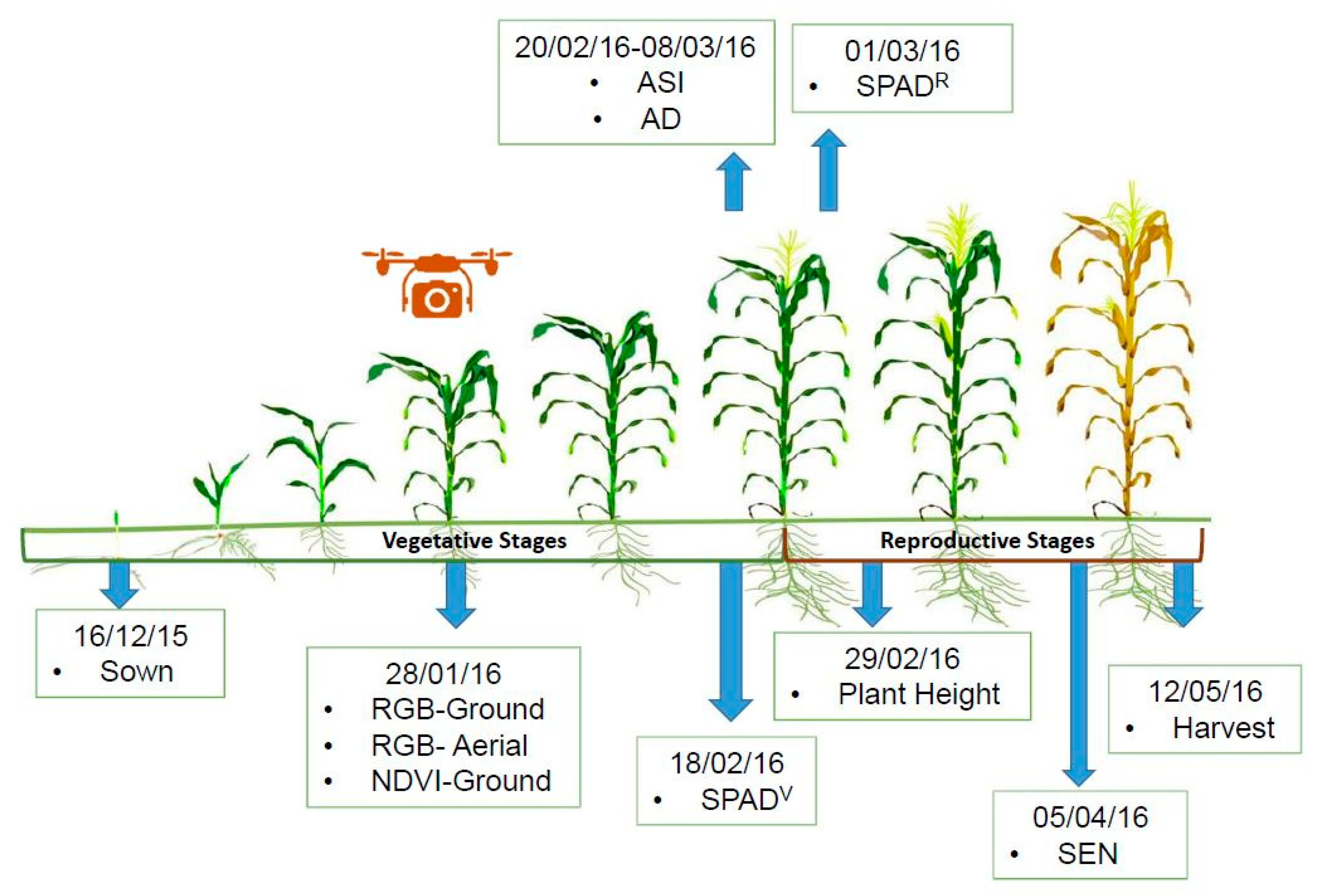 Sensors 19 01815 g003