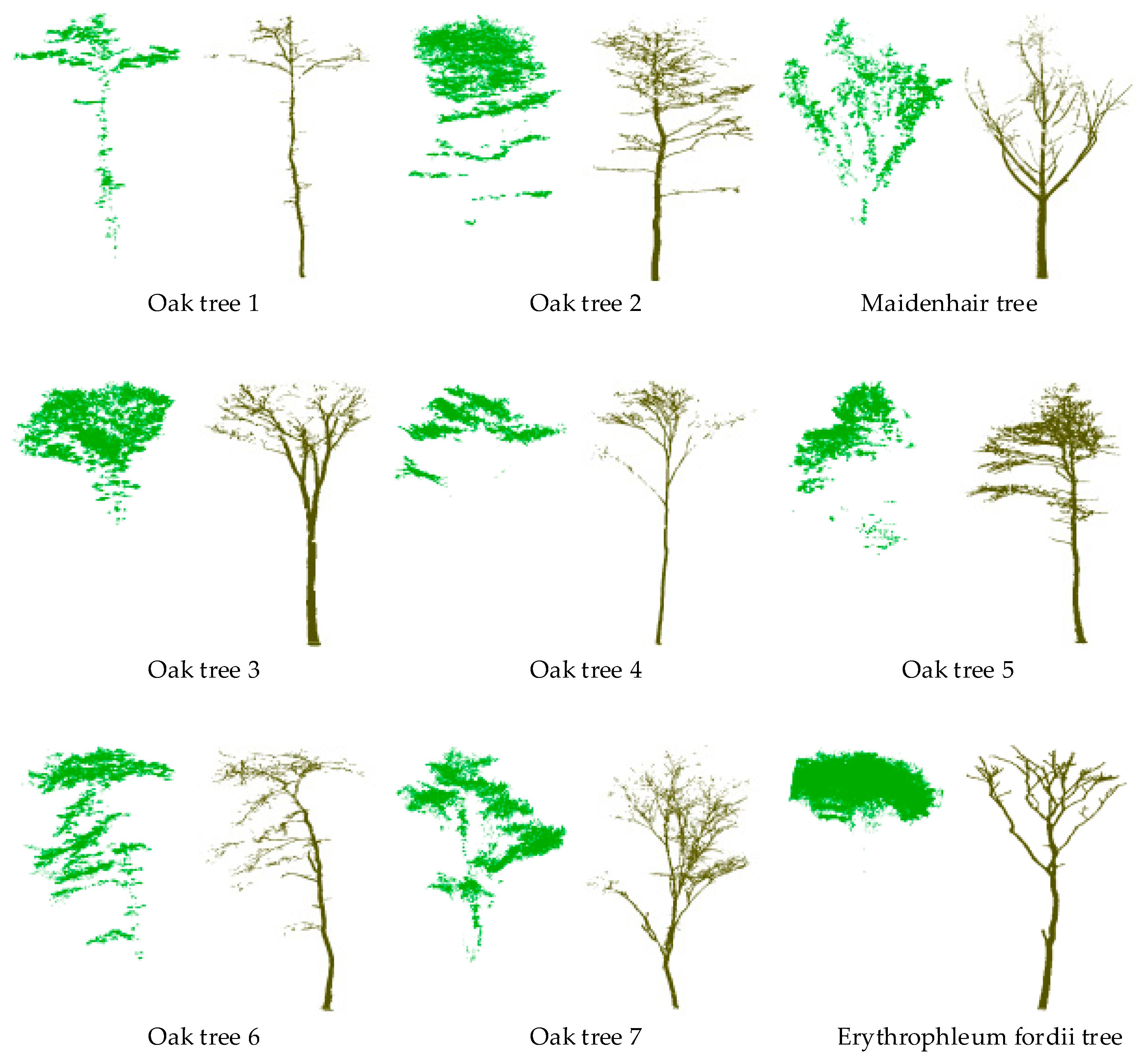 Sensors Free Full Text Separating Leaf And Wood Points In Terrestrial Laser Scanning Data Using Multiple Optimal Scales Html