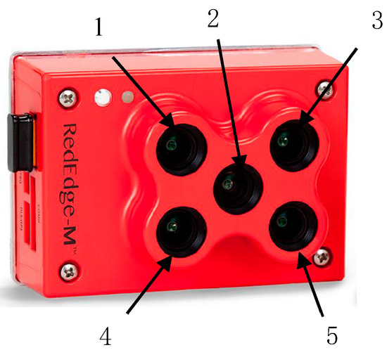 Sensors Free Full Text A Novel Illumination Compensation Technique For Multi Spectral Imaging In Ndvi Detection Html Sensors Free Full Text A Novel Illumination Compensation Technique For Multi Spectral Imaging In Ndvi Detection Html