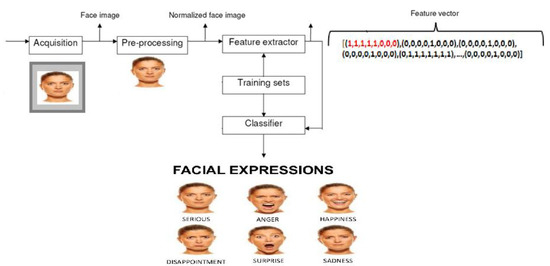 noldus face reader download noldus face reader download