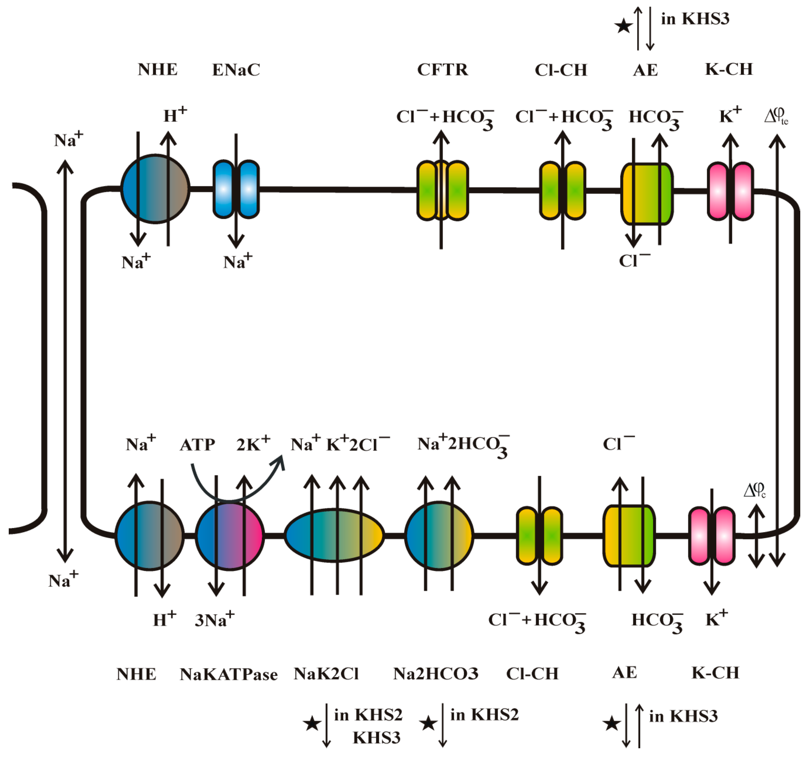 Sensors 19 01881 g006 Sensors 19 01881 g006