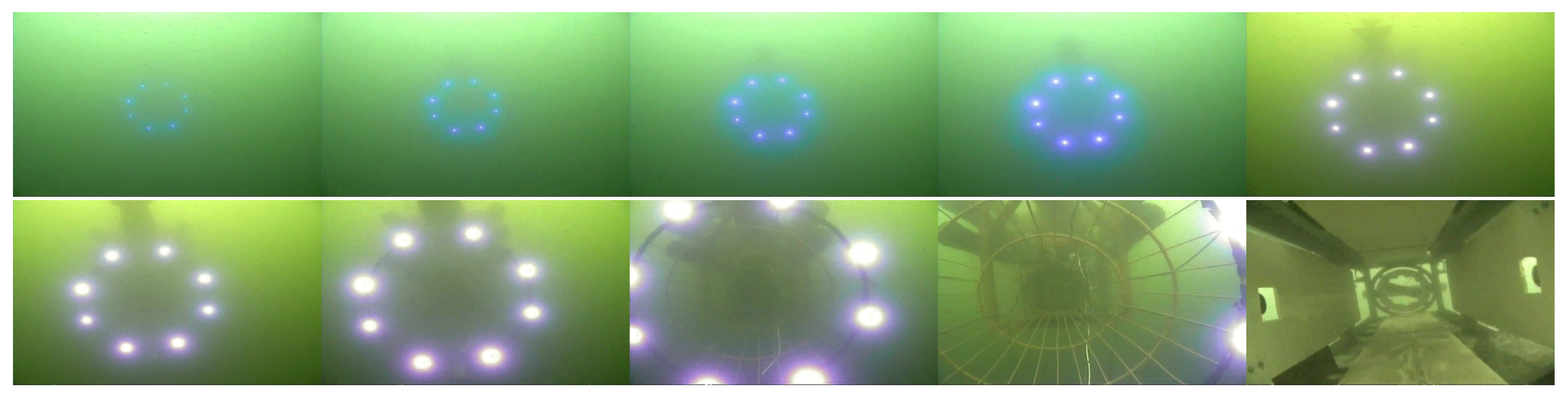 Sensors 19 01889 g013