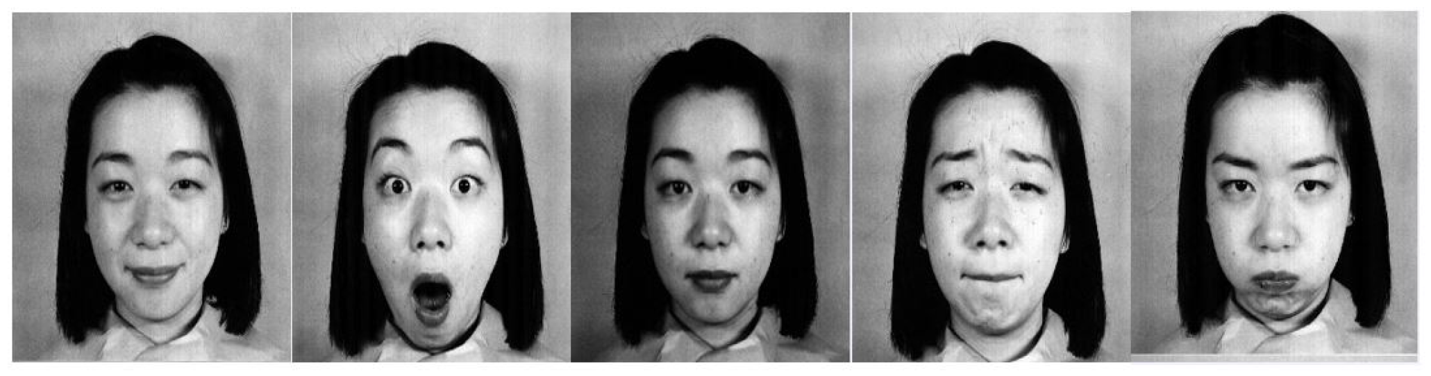 Sensors 19 01897 g001 550