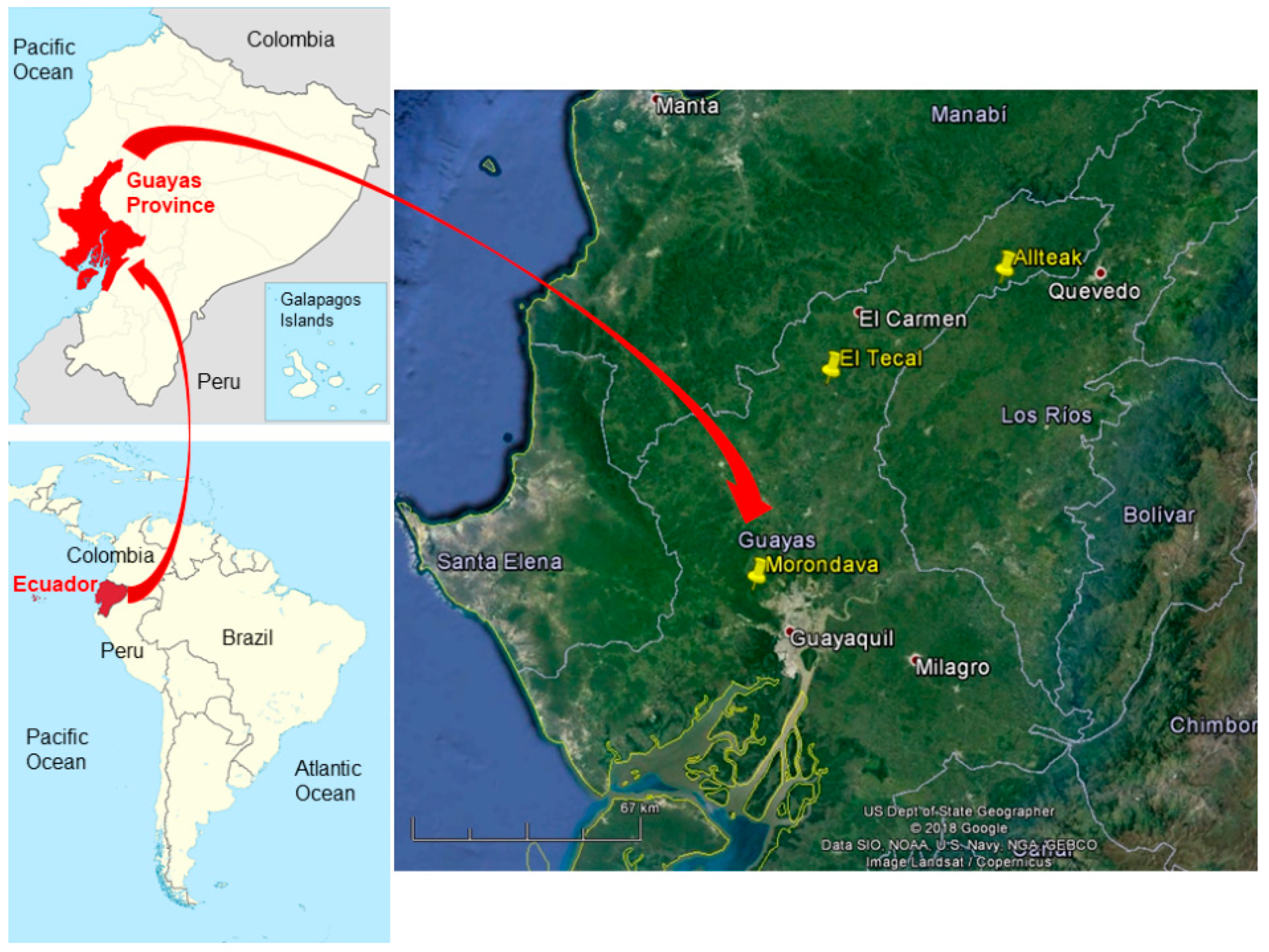 Sensors 19 01934 g001