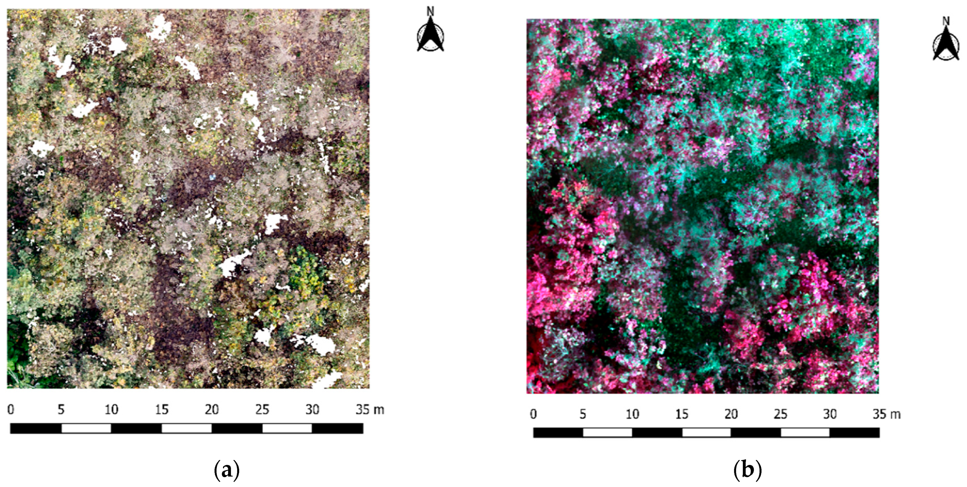 Sensors 19 01934 g005