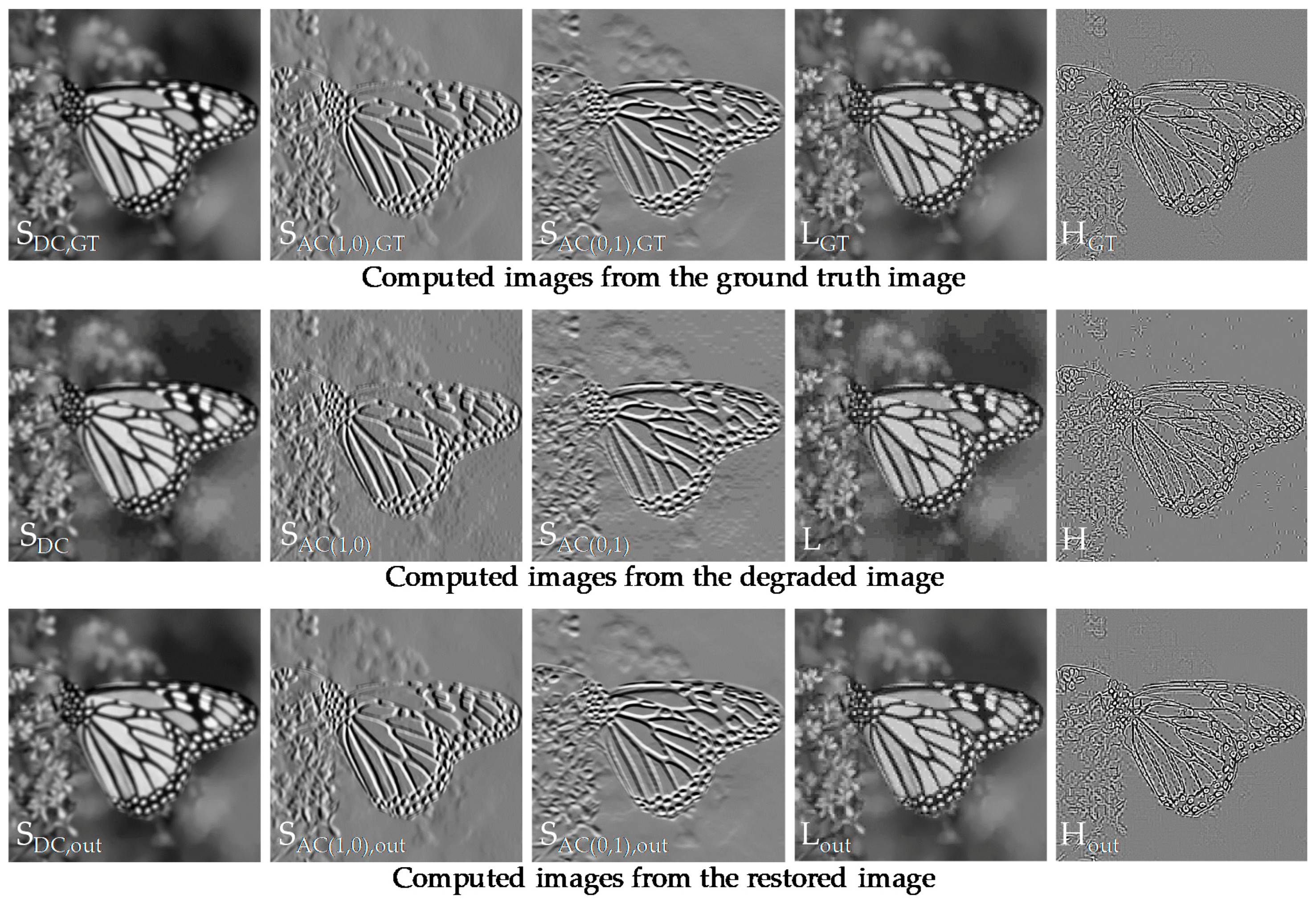 Sensors 19 01939 g004