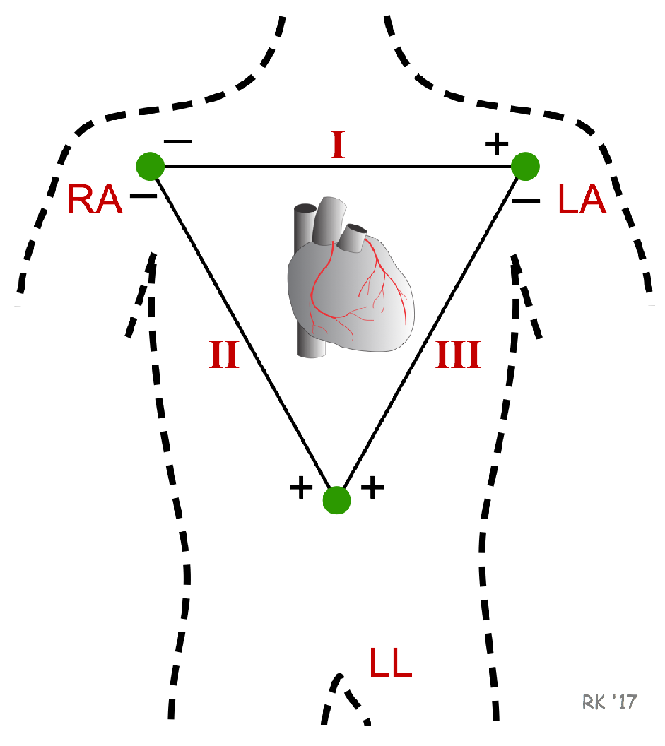 Sensors 19 01953 g002
