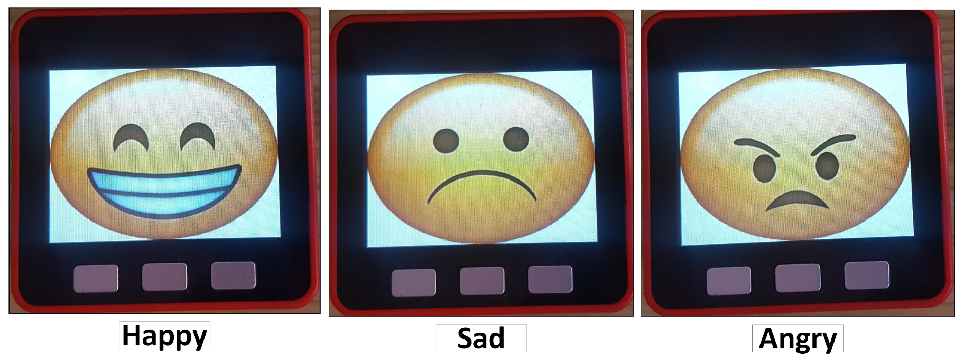 Sensors 19 01953 g005