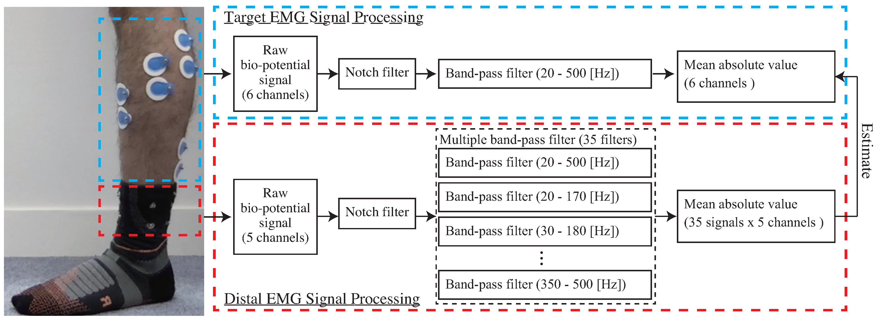 Wal front Sensor EMG Sensor EMG Sensor Electromiográfico Sensor de Señal Muscular con Línea de Conexión EMG 