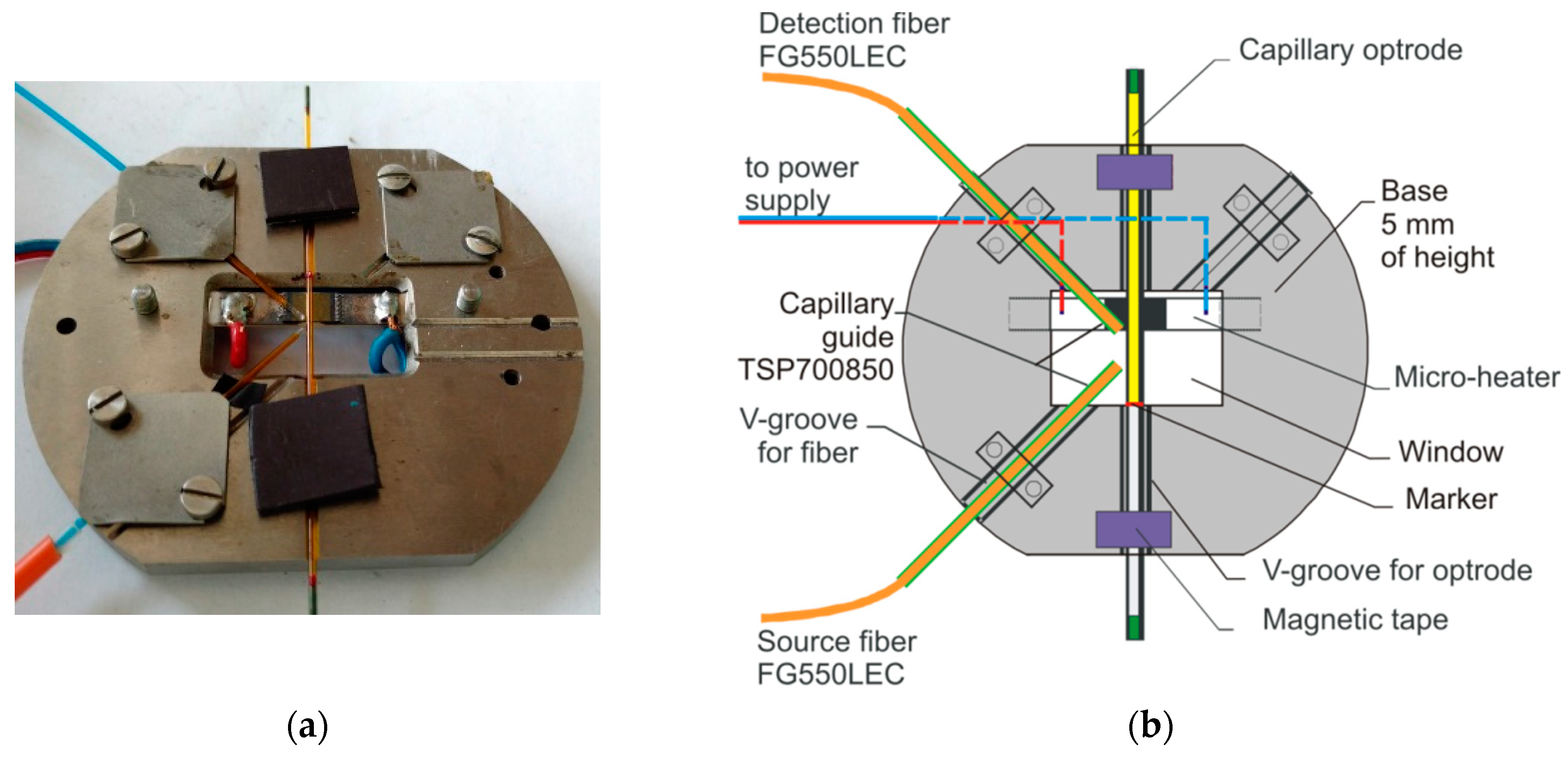 Sensors 19 01980 g005