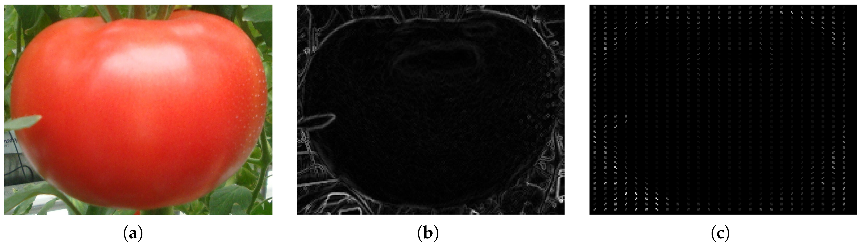 Sensors 19 02023 g001