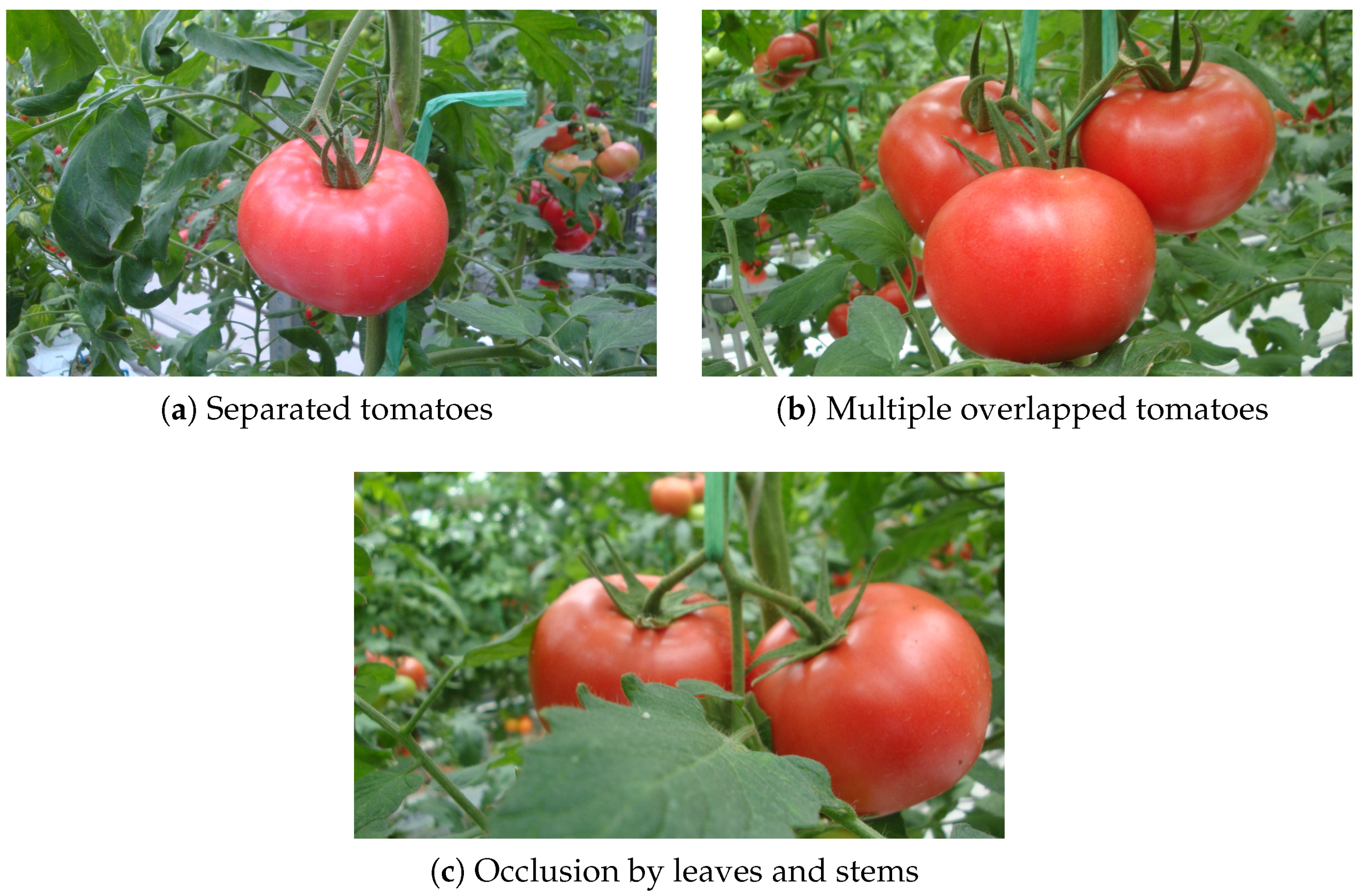 Sensors 19 02023 g003