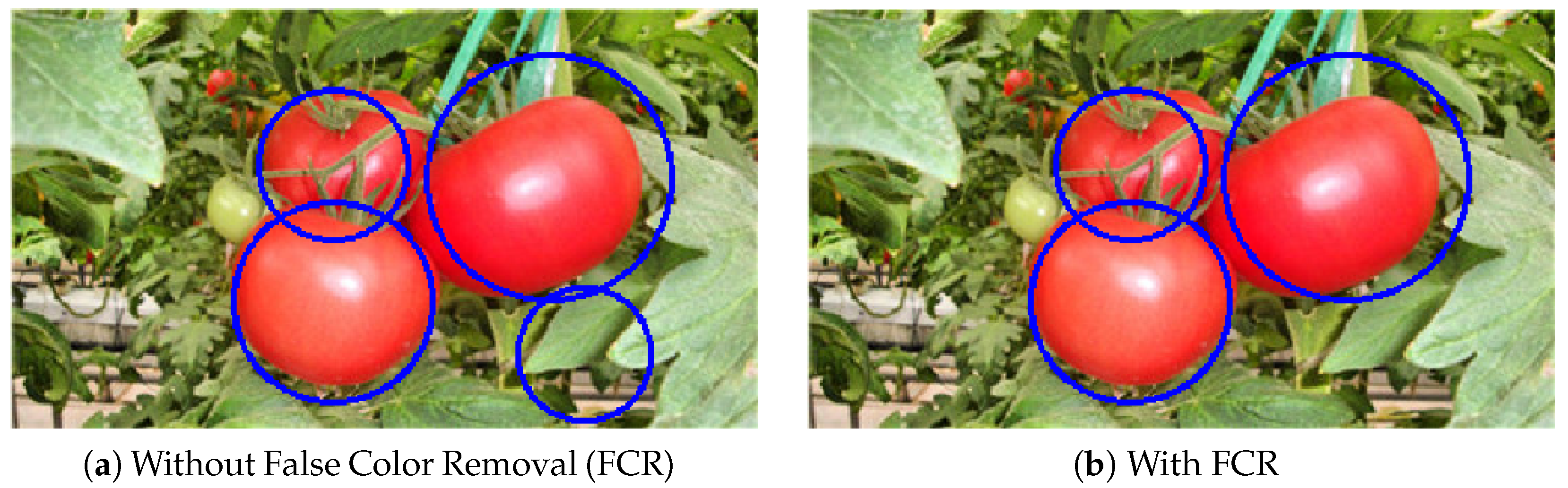 Sensors 19 02023 g012