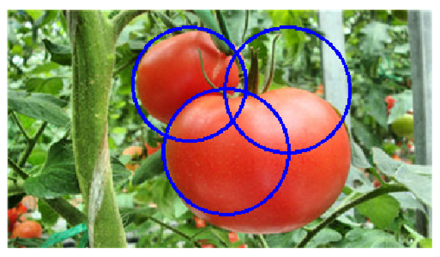 Sensors 19 02023 g017