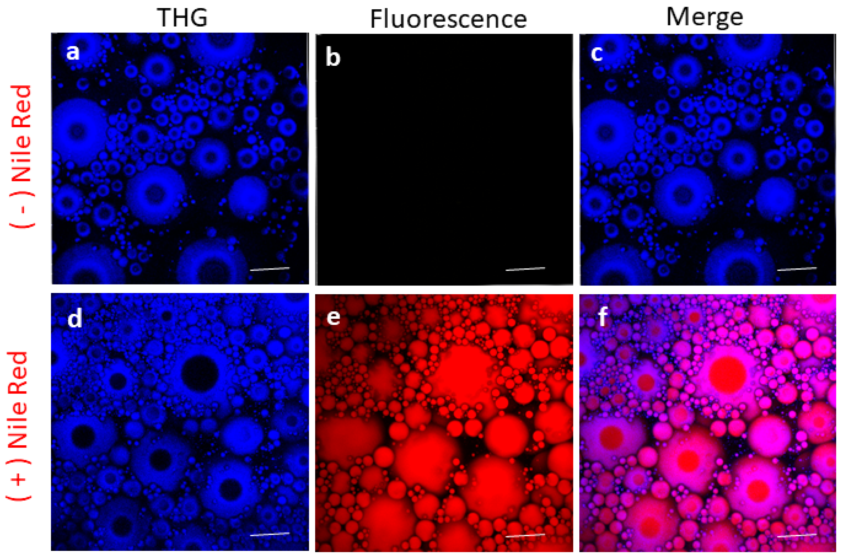 Sensors 19 02024 g003