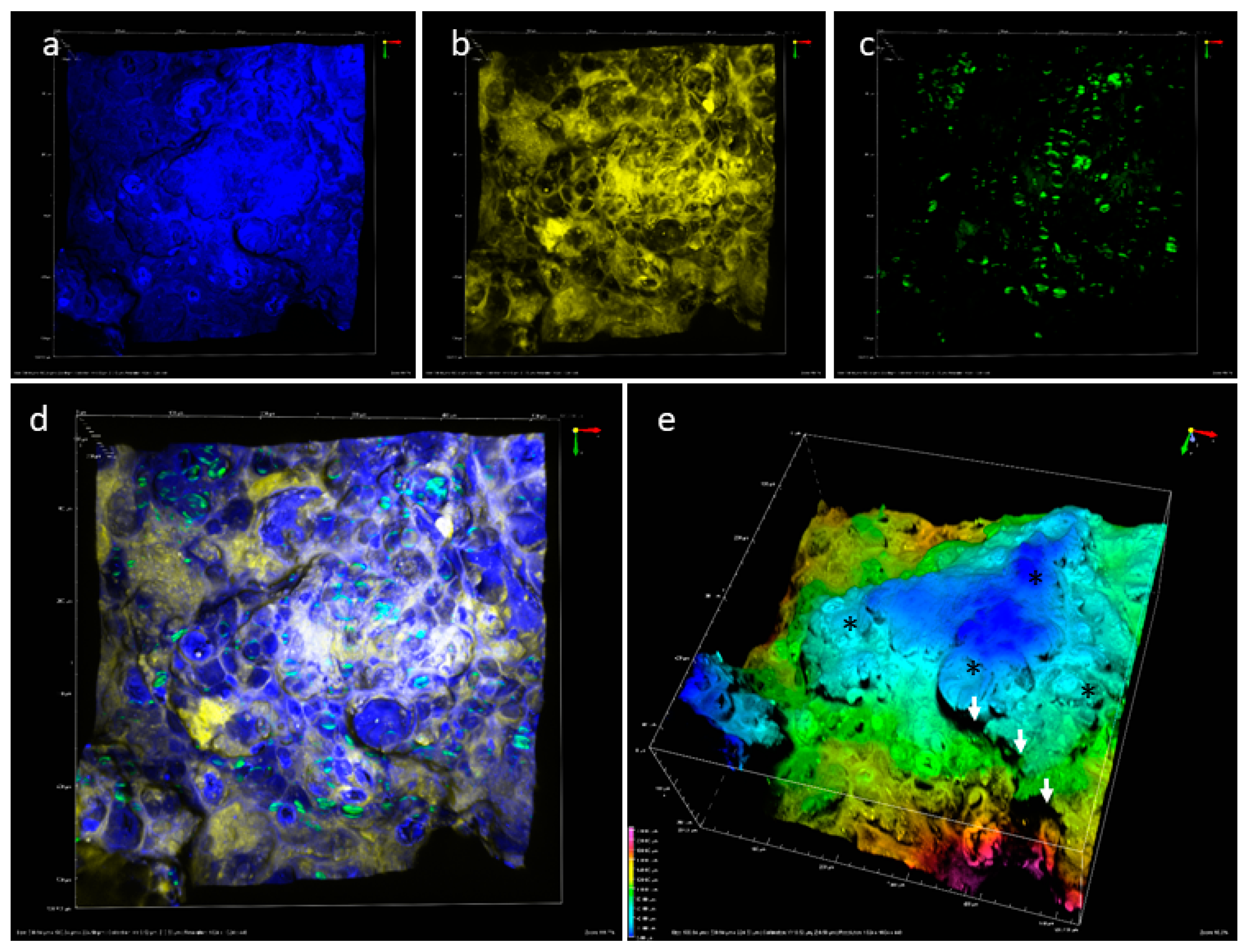 Sensors 19 02024 g005