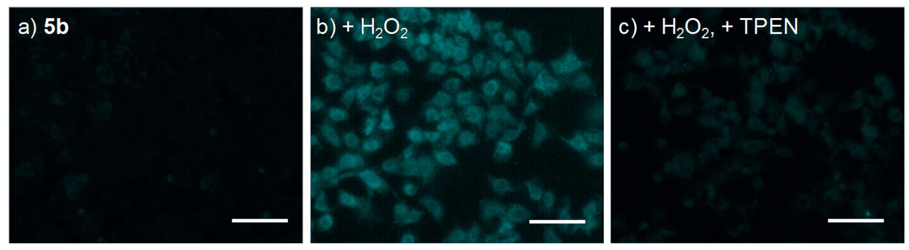 Sensors 19 02049 g007
